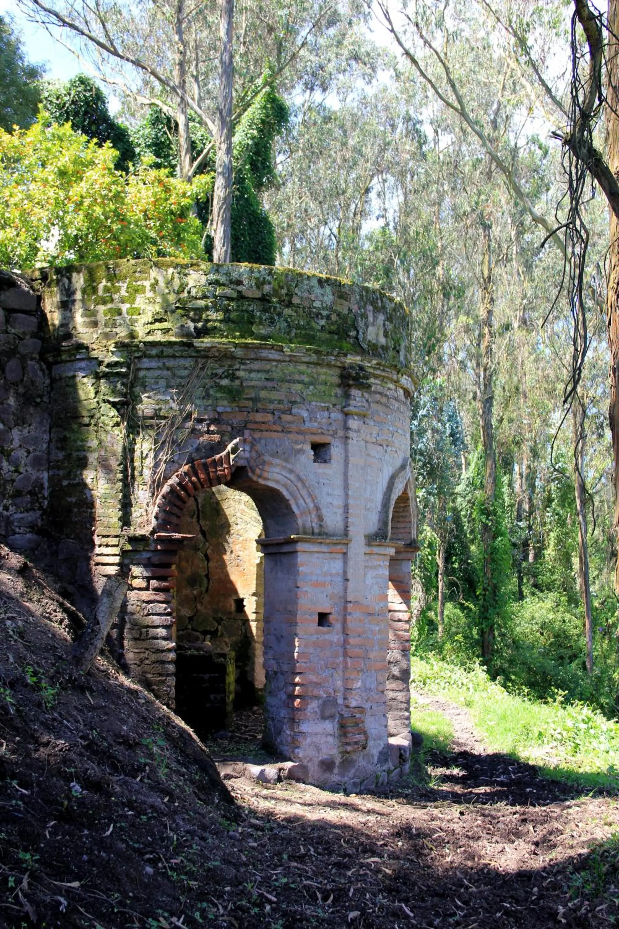 Natural landscape in Hostería Hacienda Pinsaqui