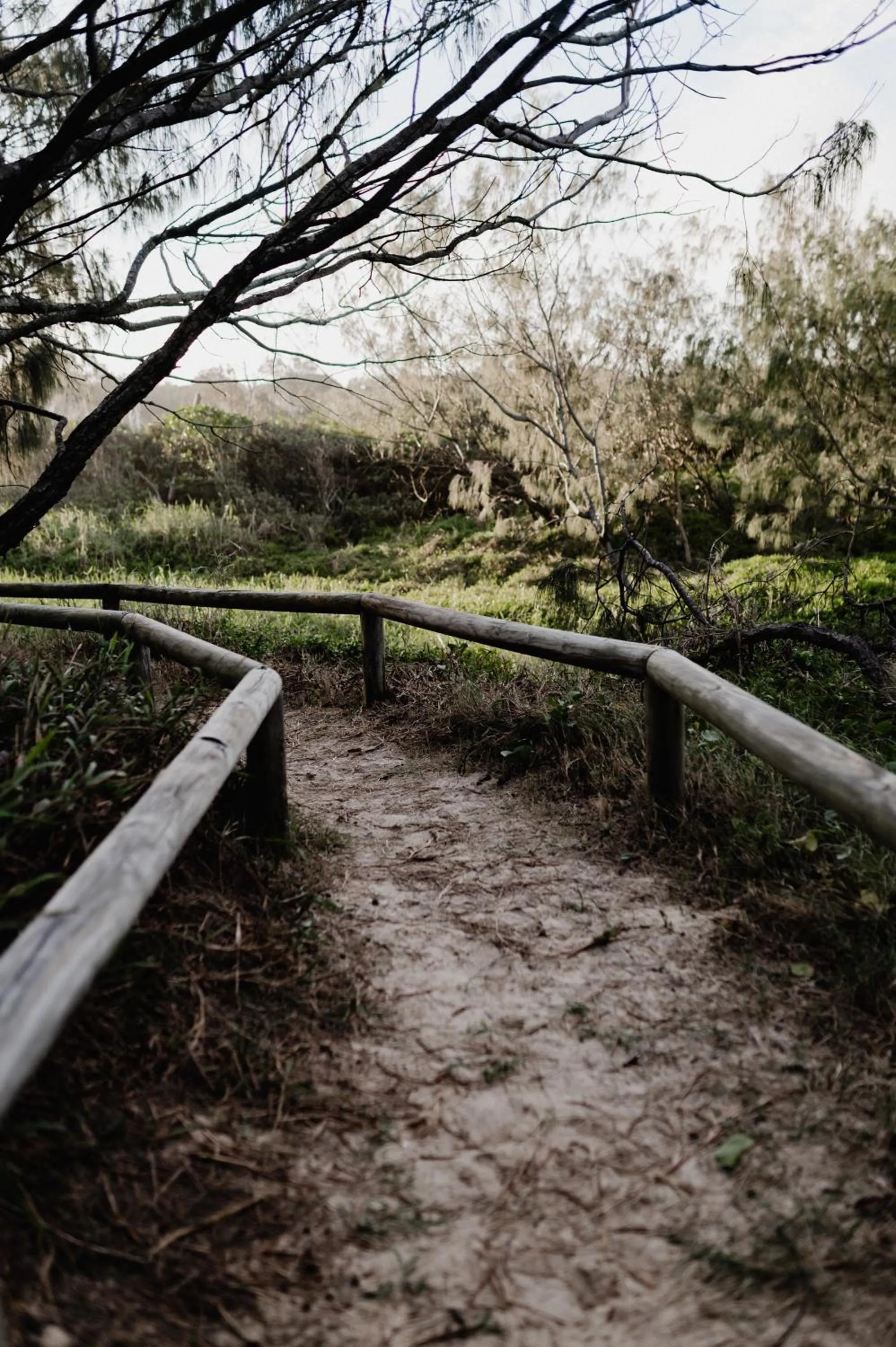 Natural landscape in The Retreat Beach Houses