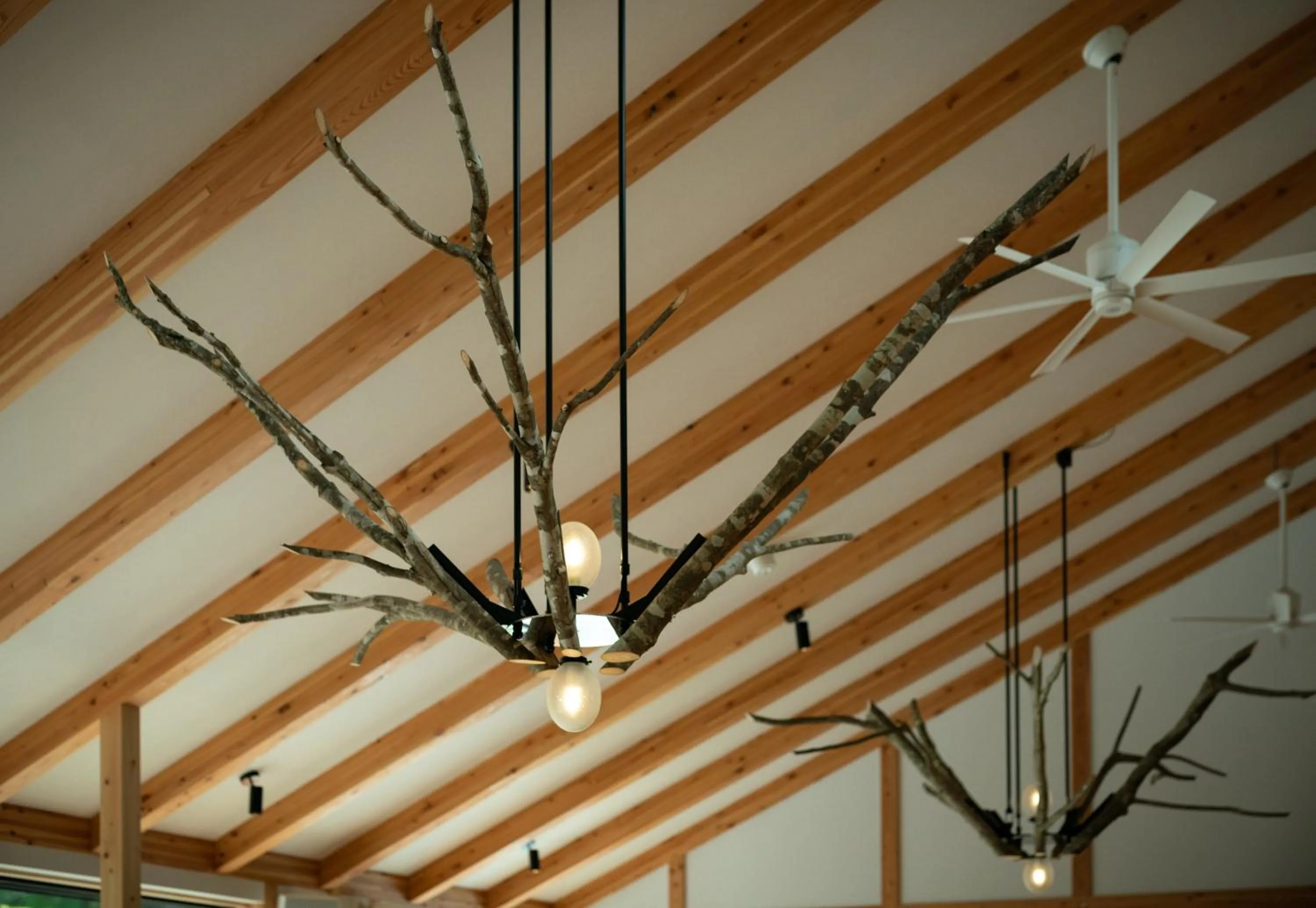 Restaurant/places to eat in Saito Hotel