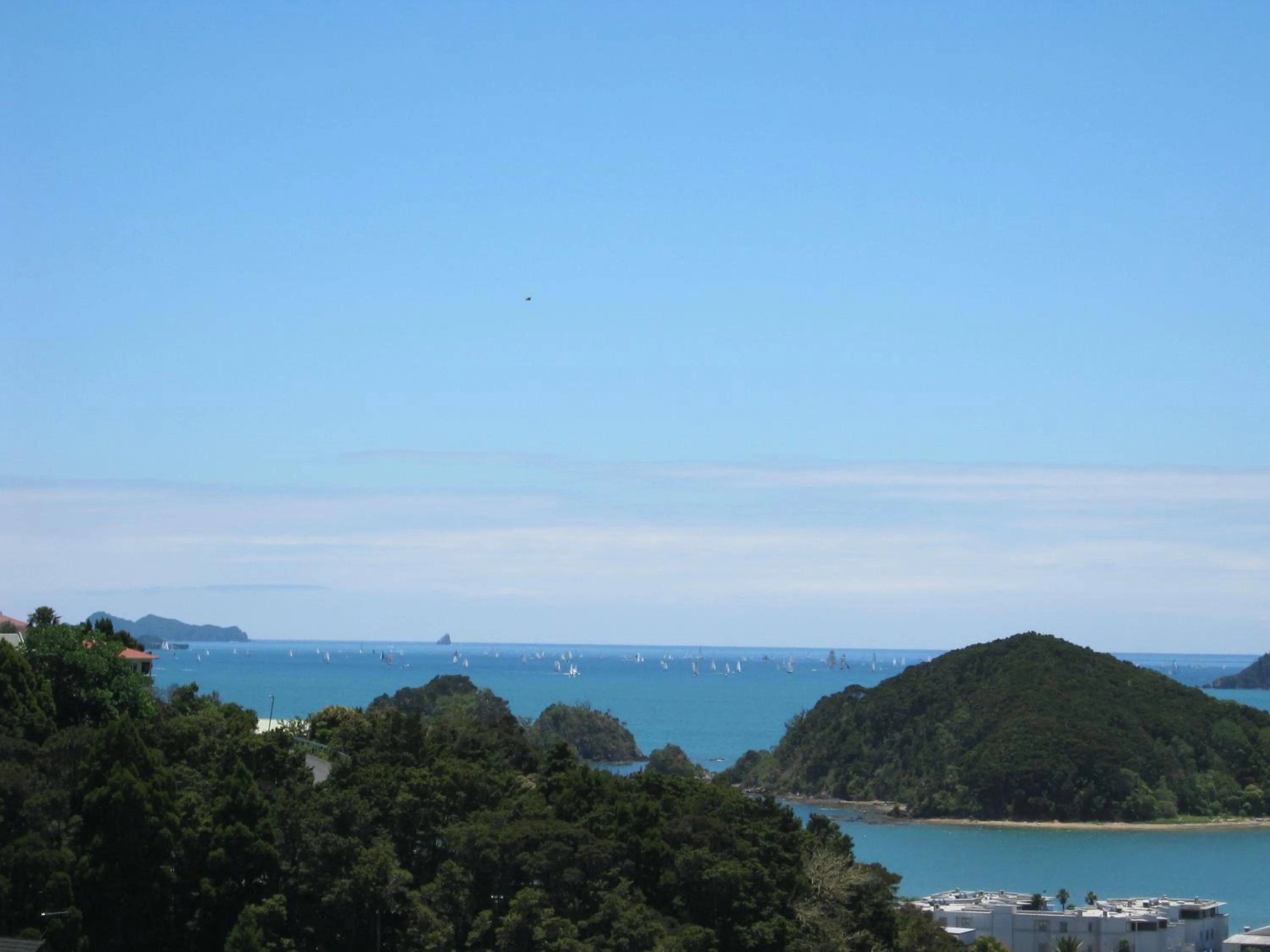 View (from property/room) in Decks of Paihia