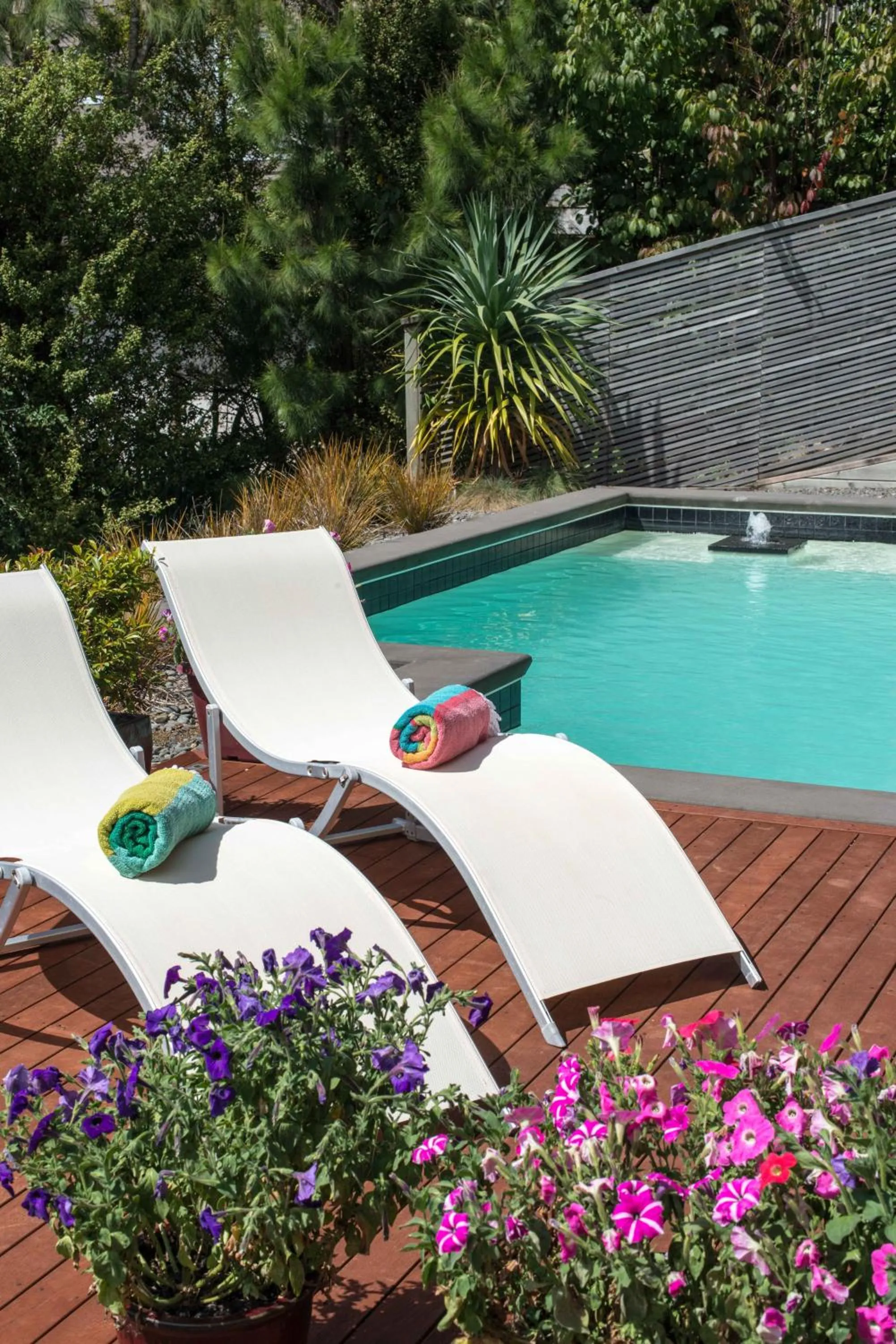 Swimming pool in Decks of Paihia