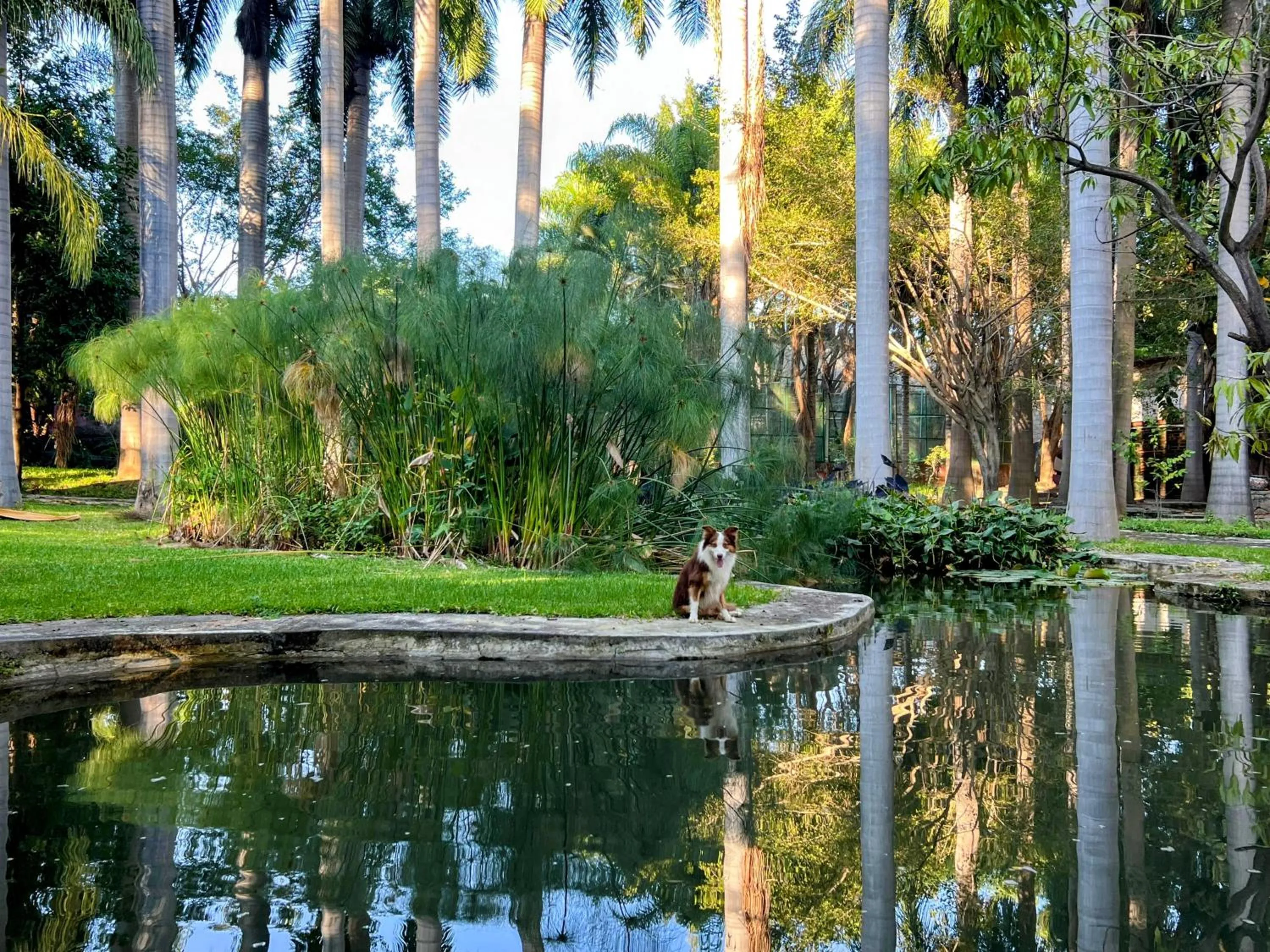 Garden in Rancho Agua Salada