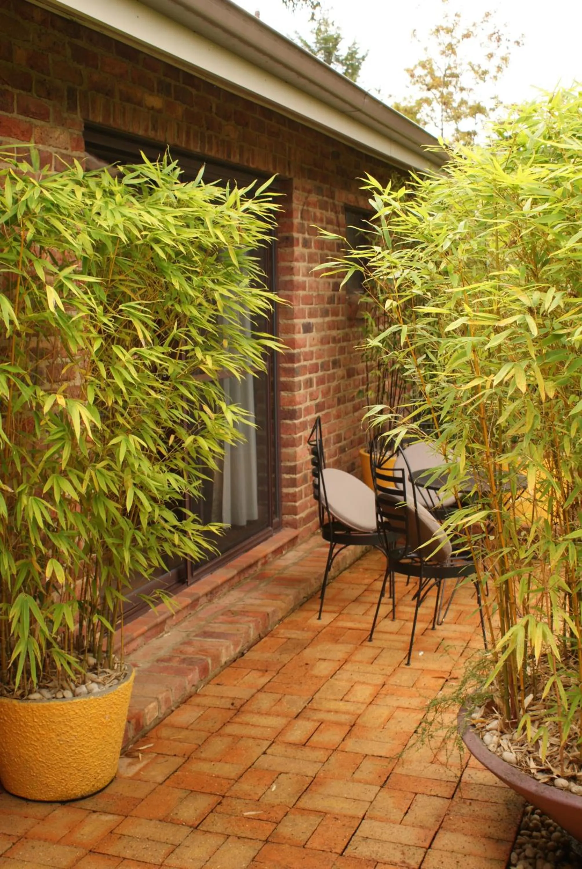 Balcony/Terrace in Yallambee B&B