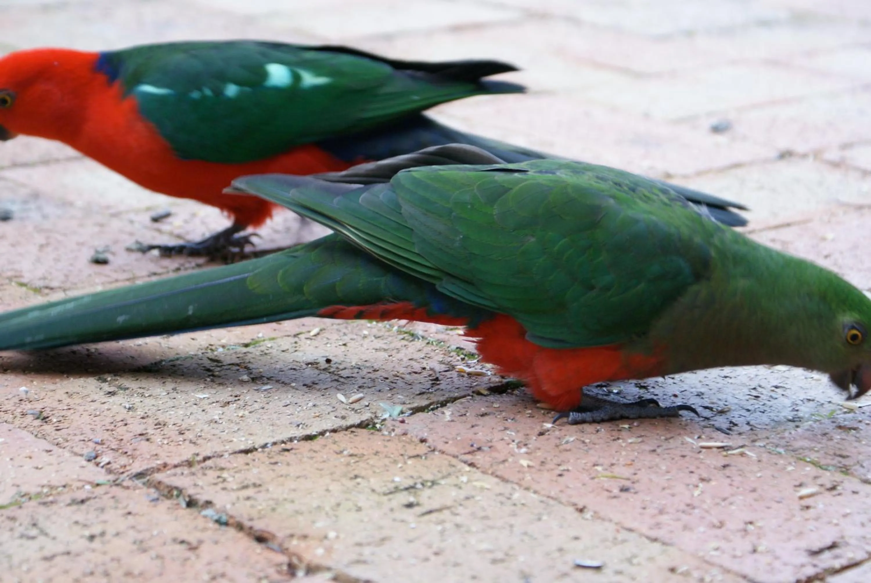 Area and facilities in Yallambee B&B