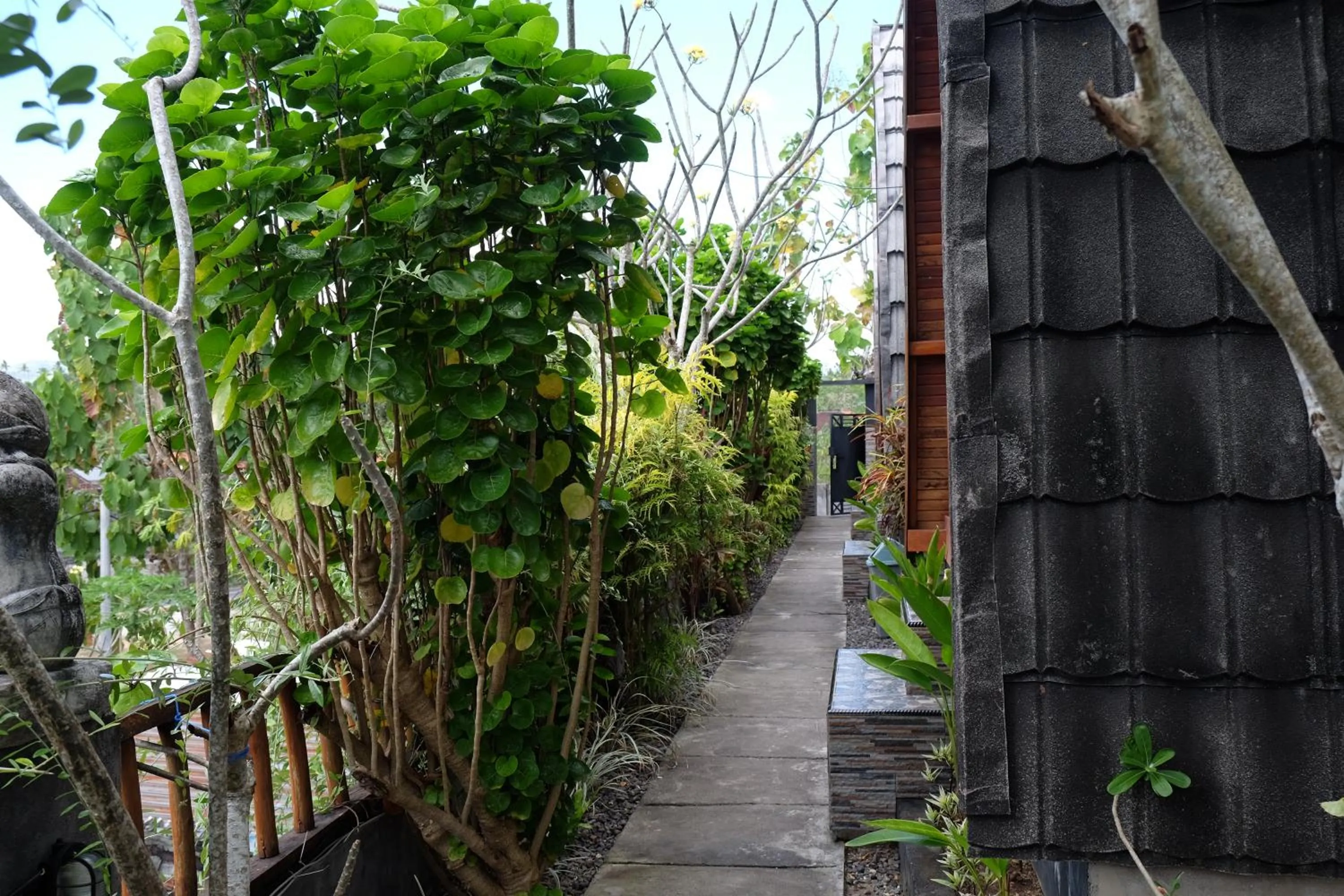 Garden in Kibu Kauh Sunrise Cottage