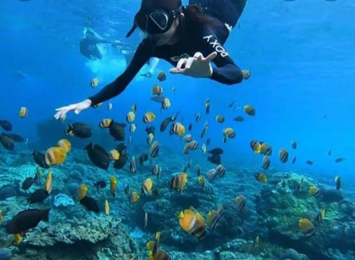 Snorkeling in Kibu Kauh Sunrise Cottage