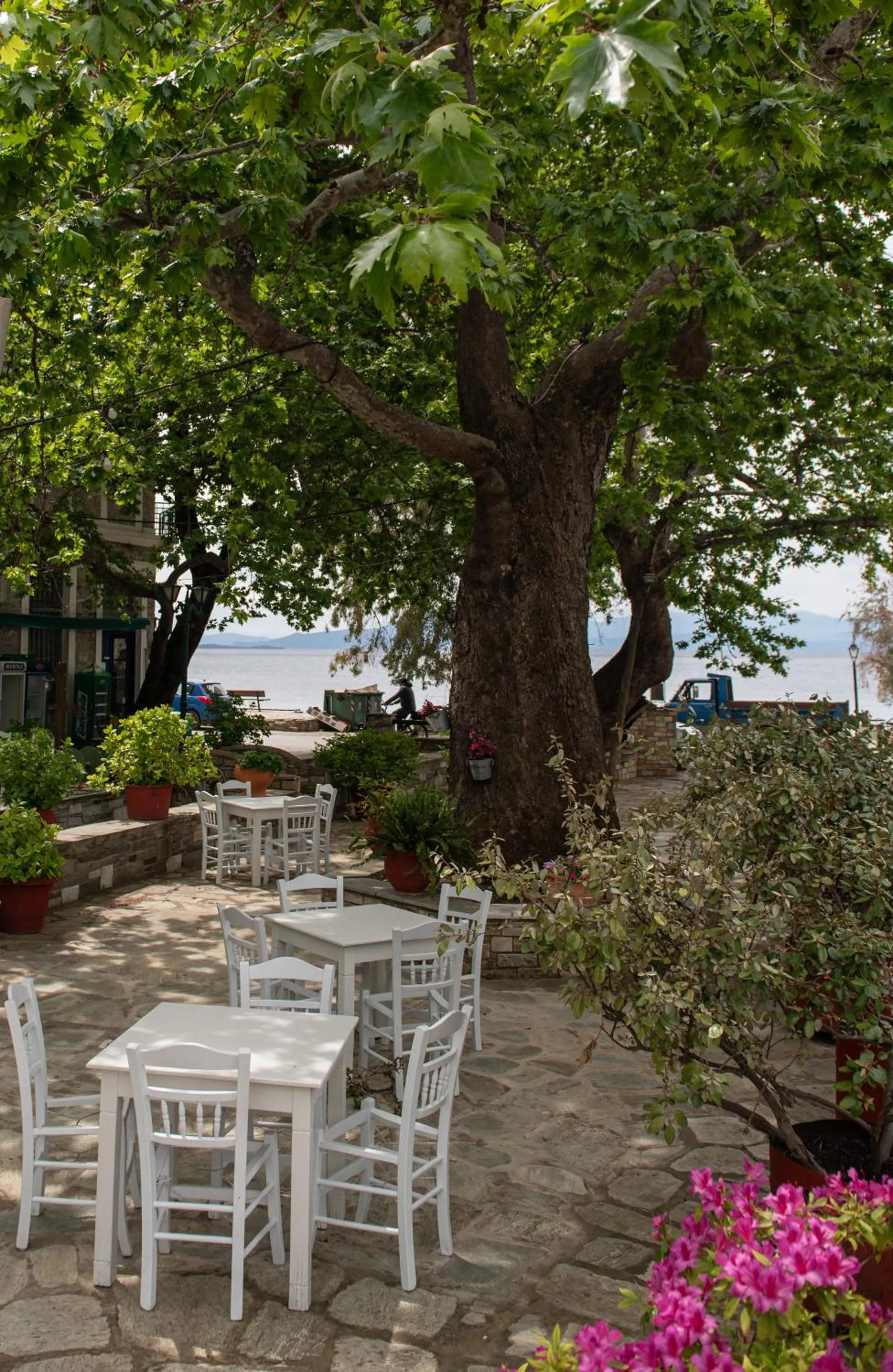 Restaurant/places to eat in Karavia Lux Inn