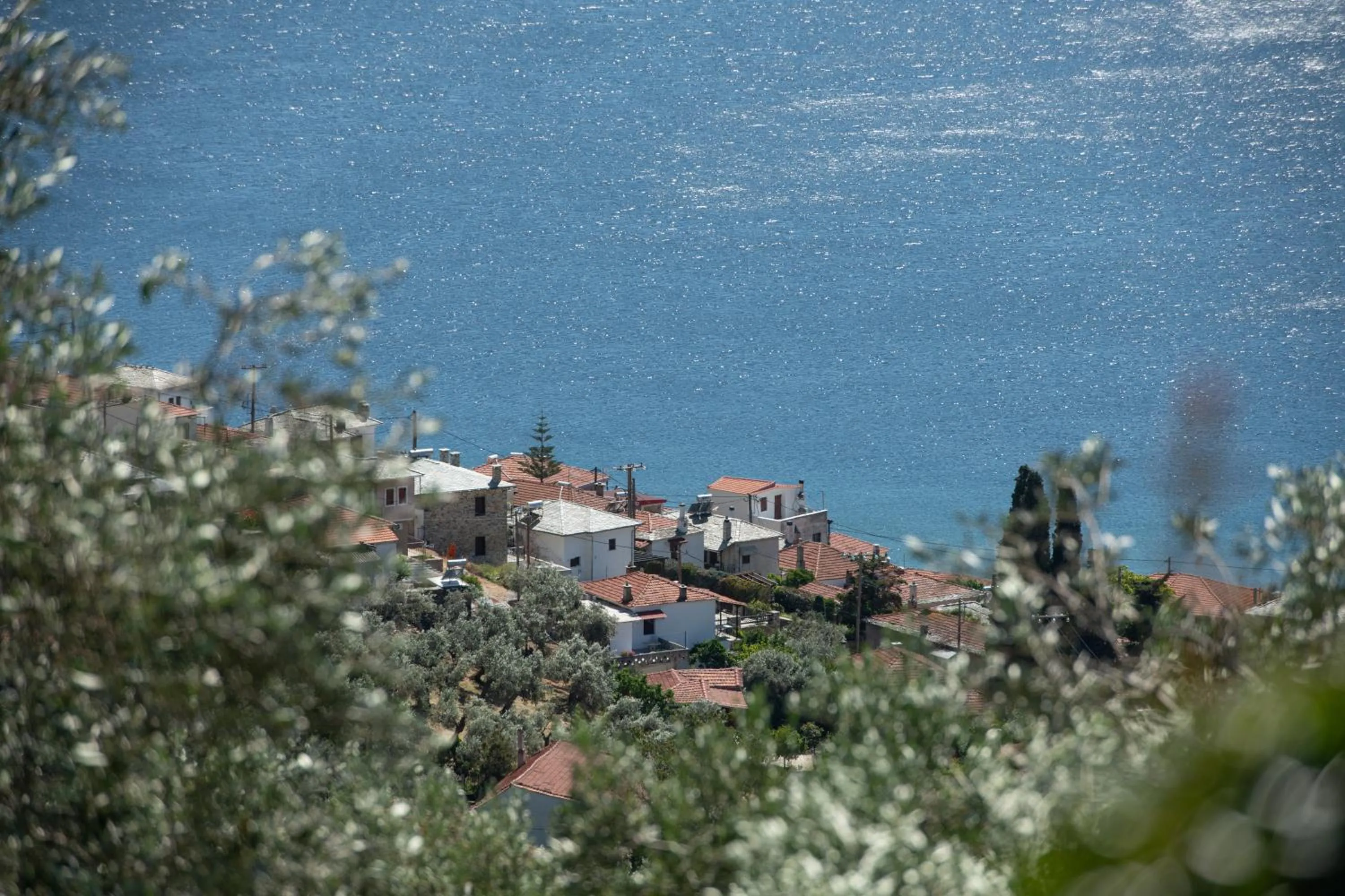 Day in Karavia Lux Inn