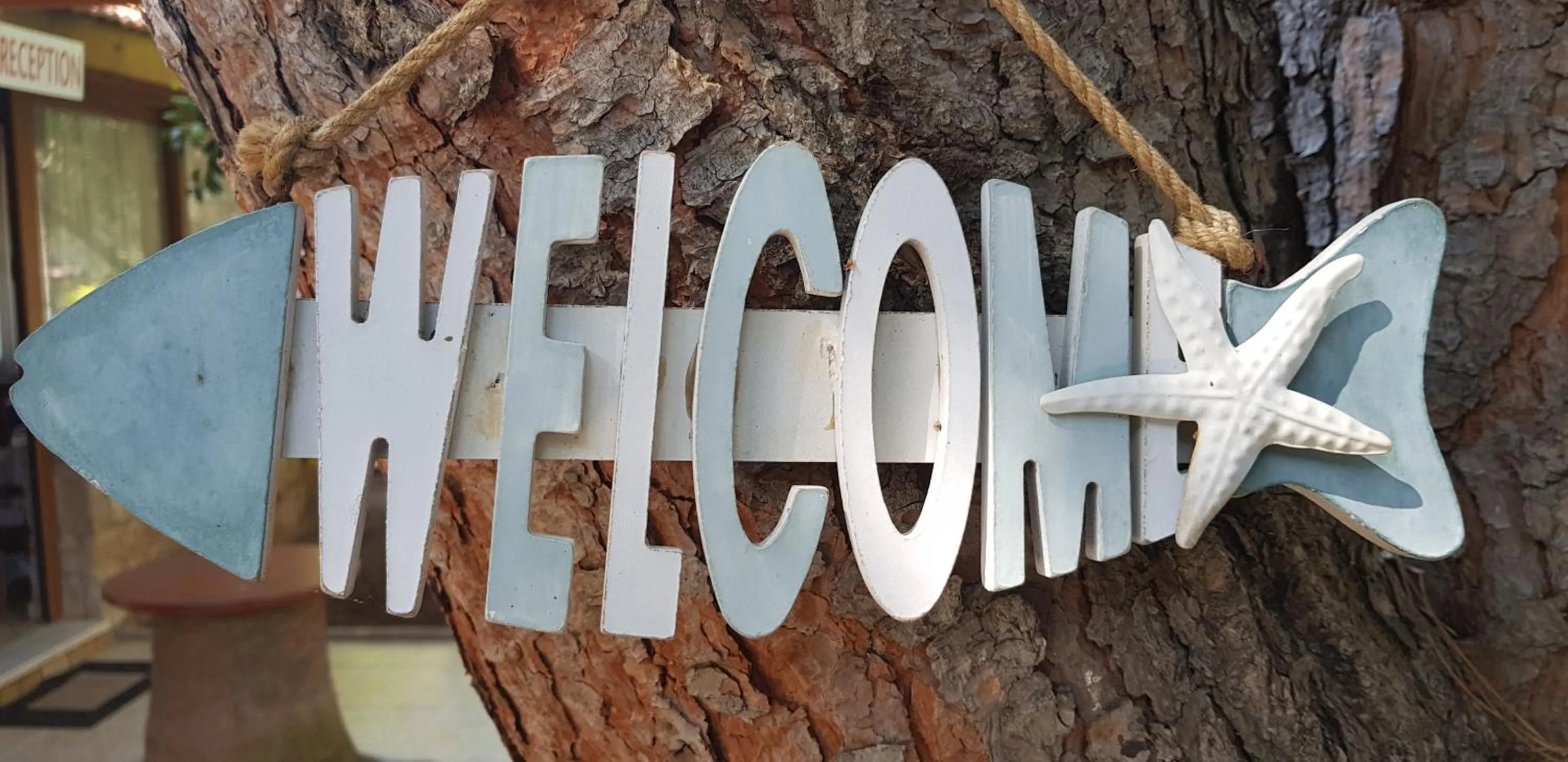 Garden view in İlkiz Beach Hotel