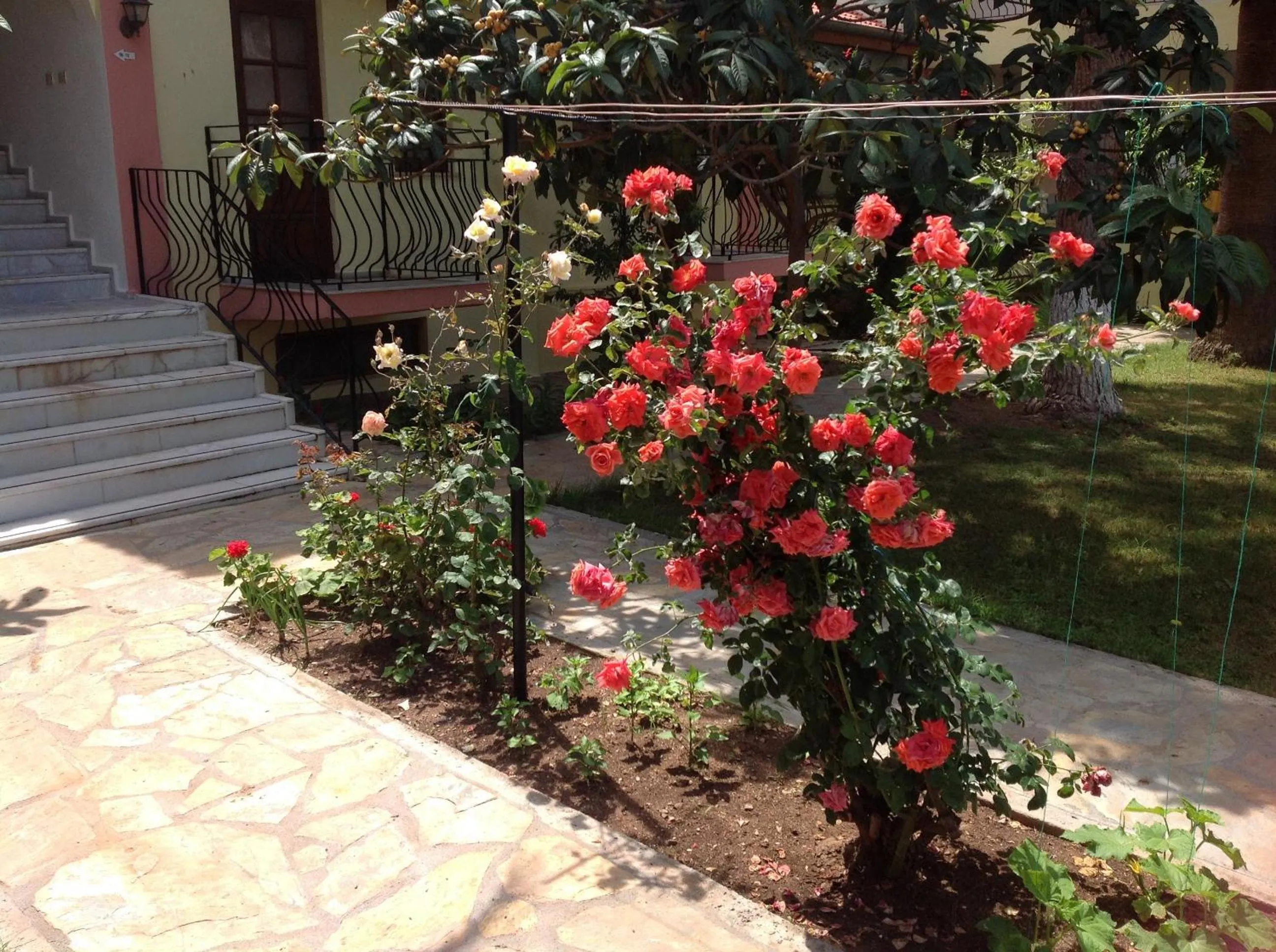 Garden in İlkiz Beach Hotel