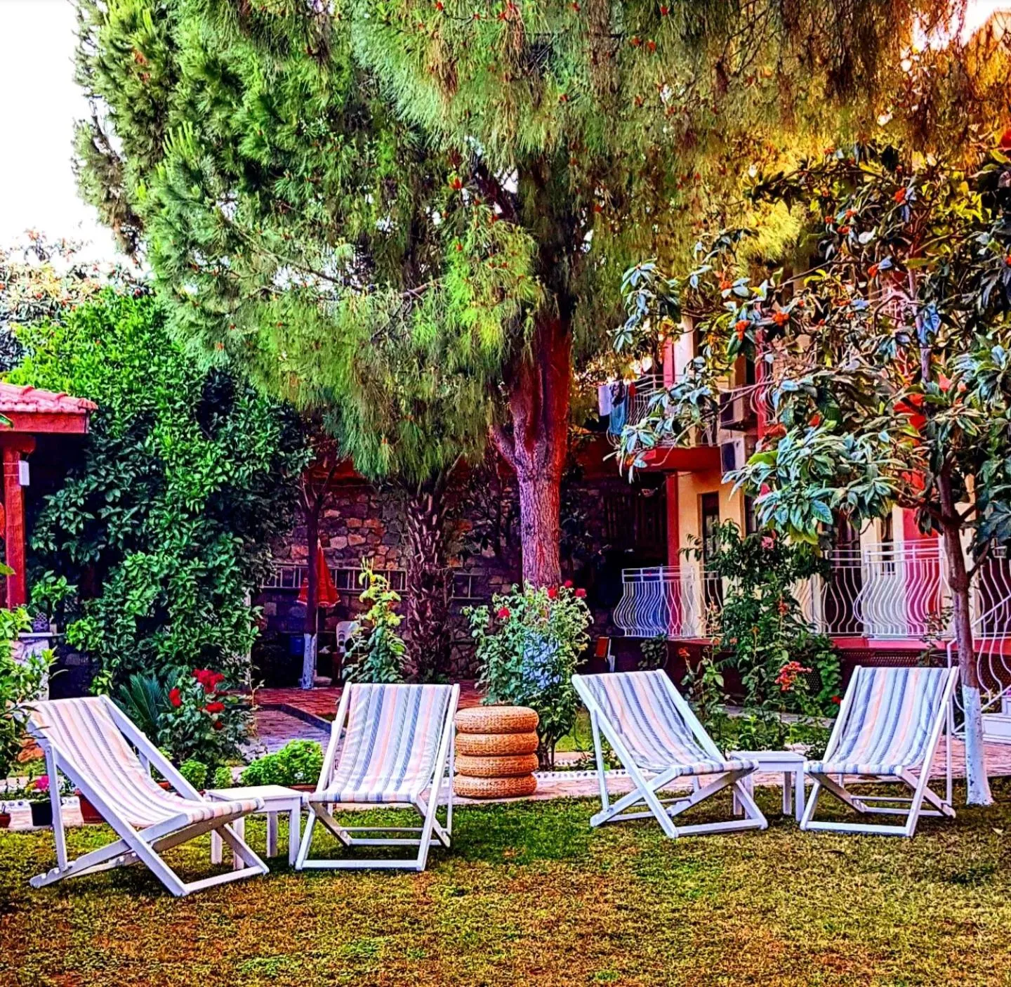 Garden in İlkiz Beach Hotel