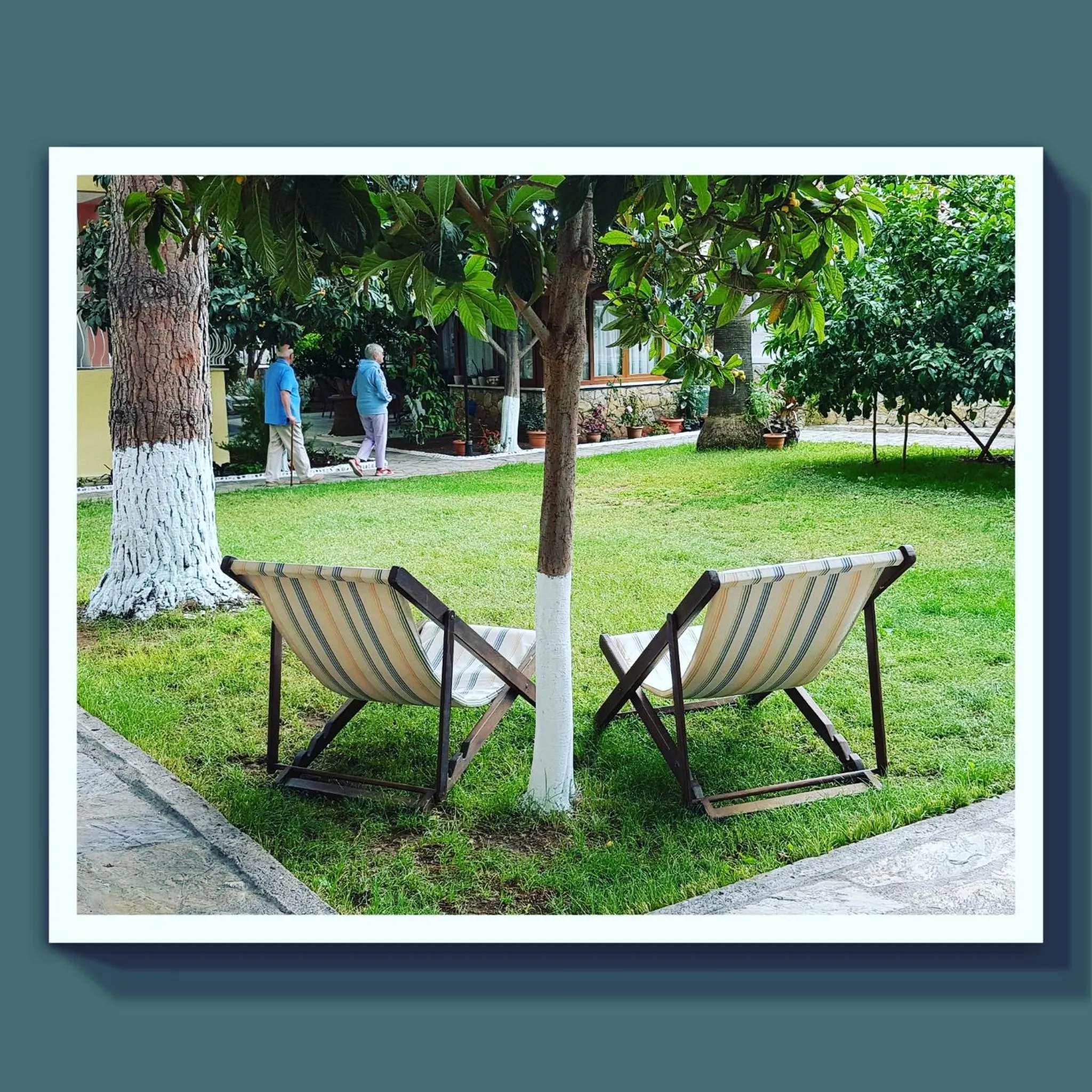 Garden in İlkiz Beach Hotel