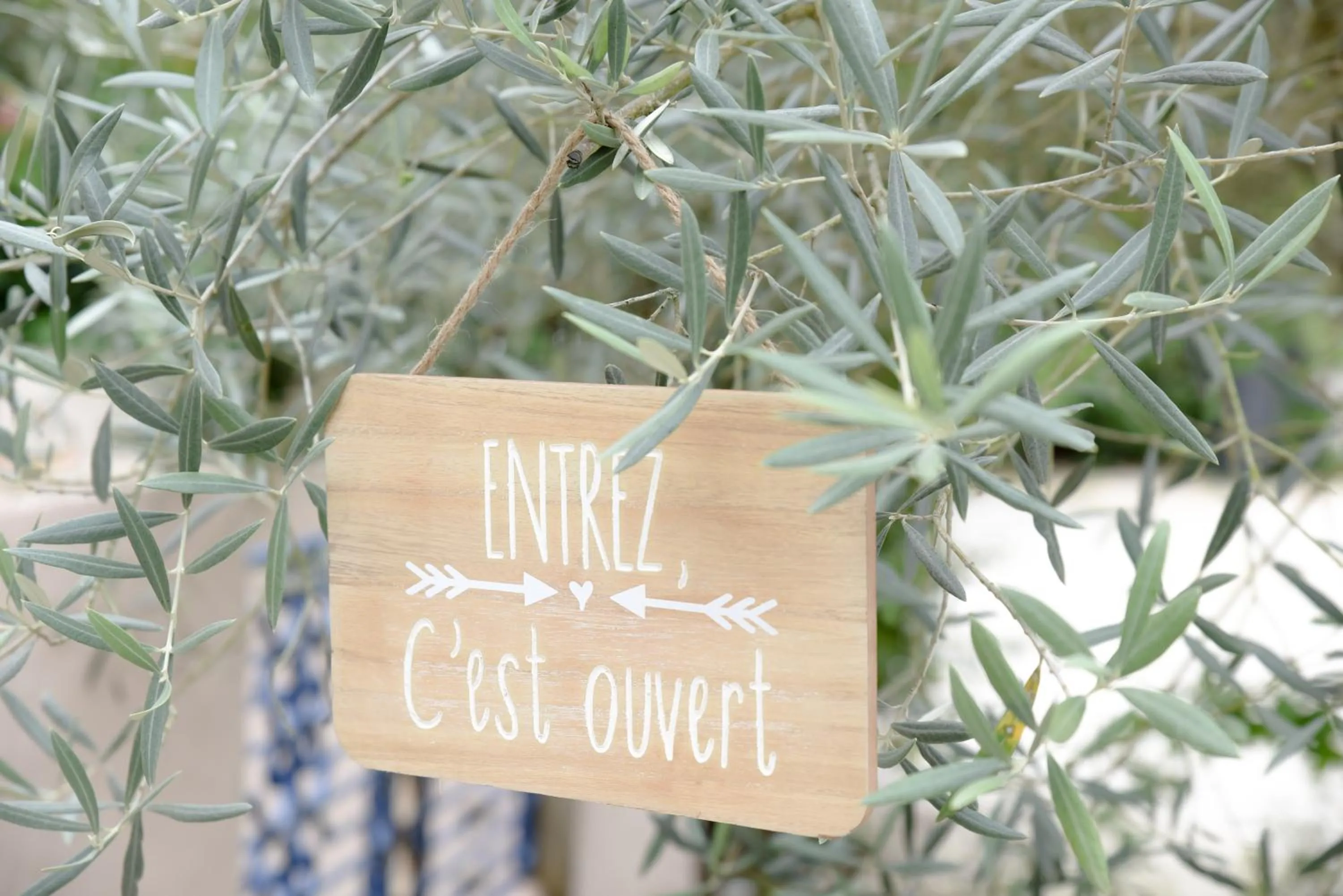 Les Roses de Montherlant