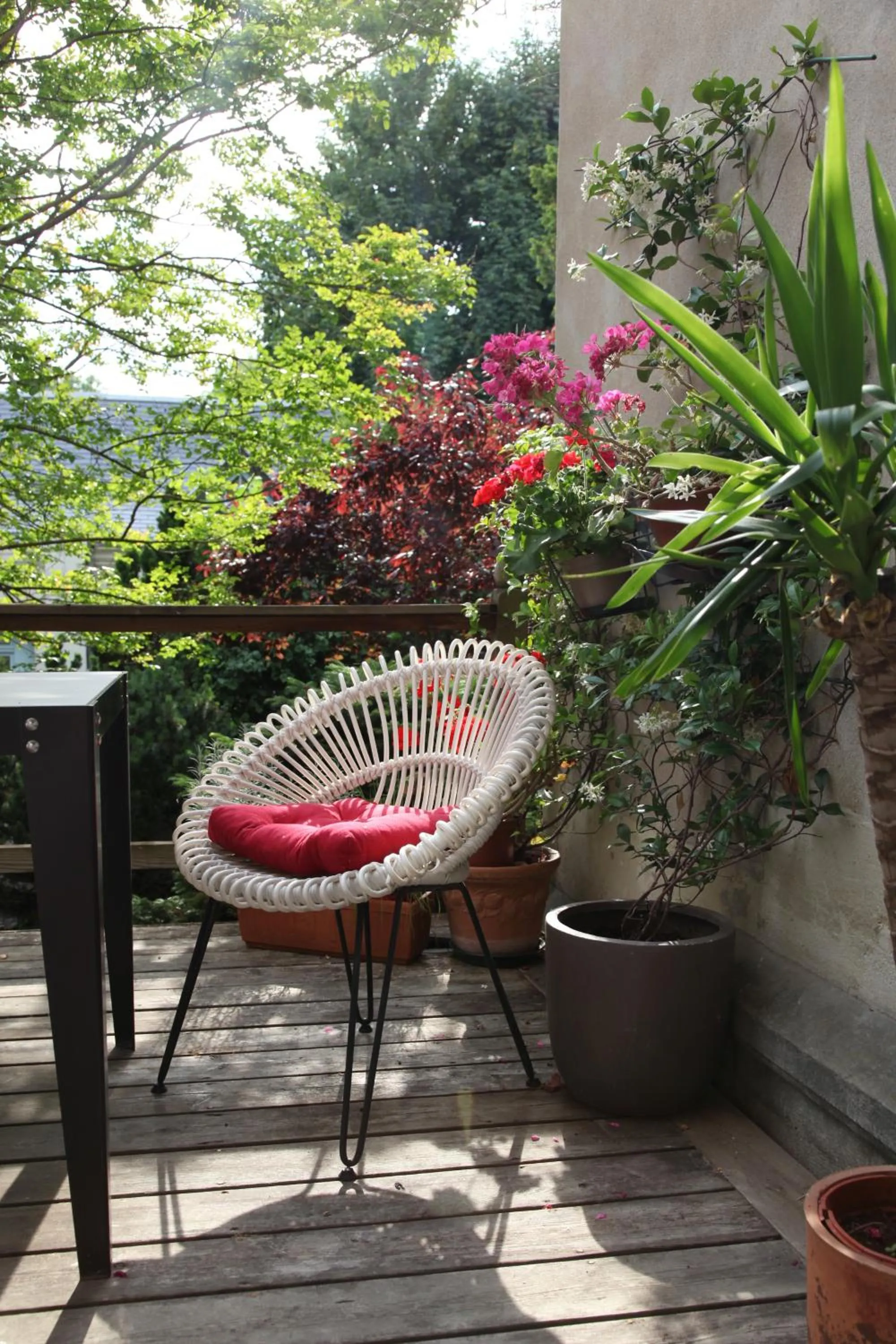 Patio in La Maison Jules