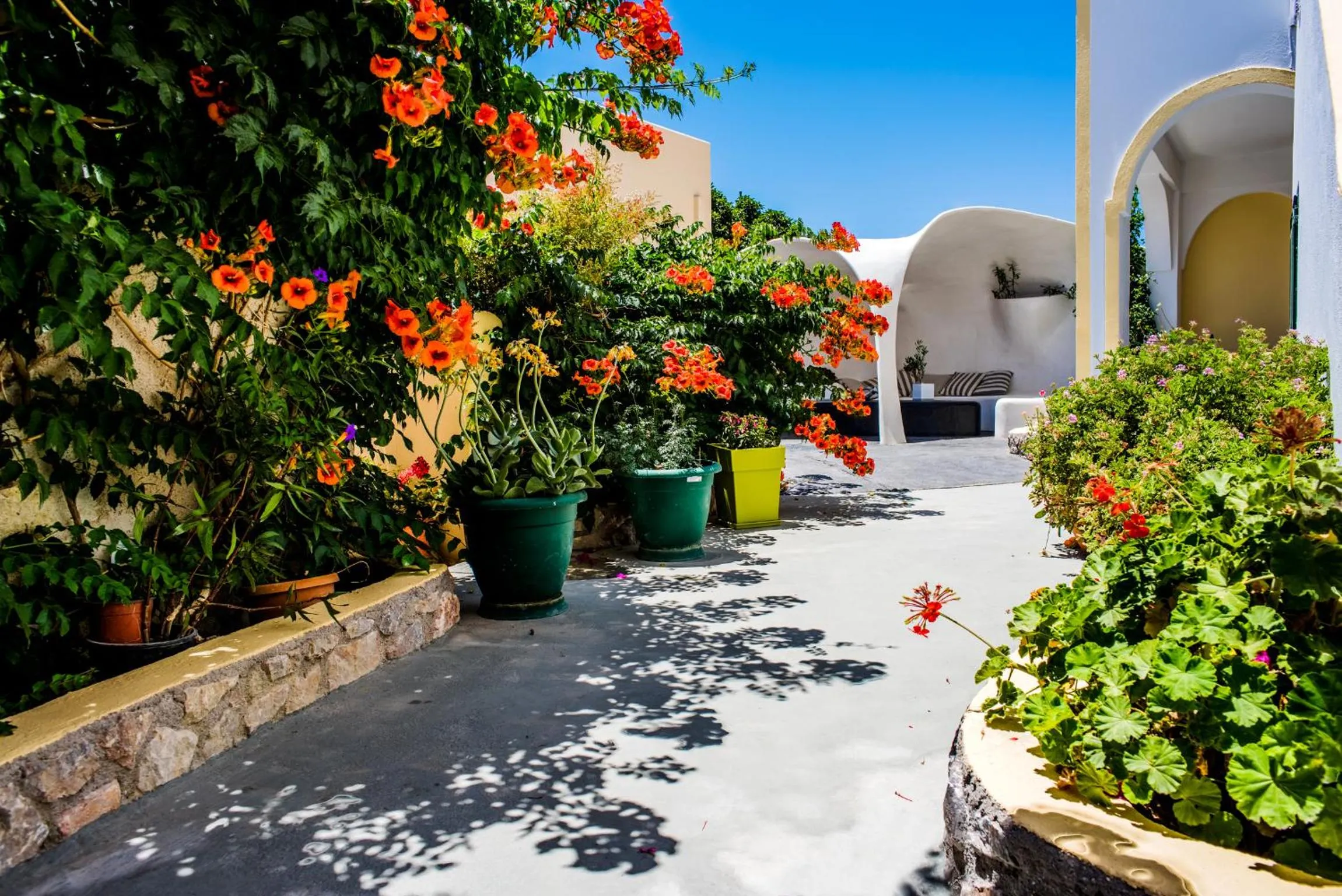 Garden in Studio Paul's