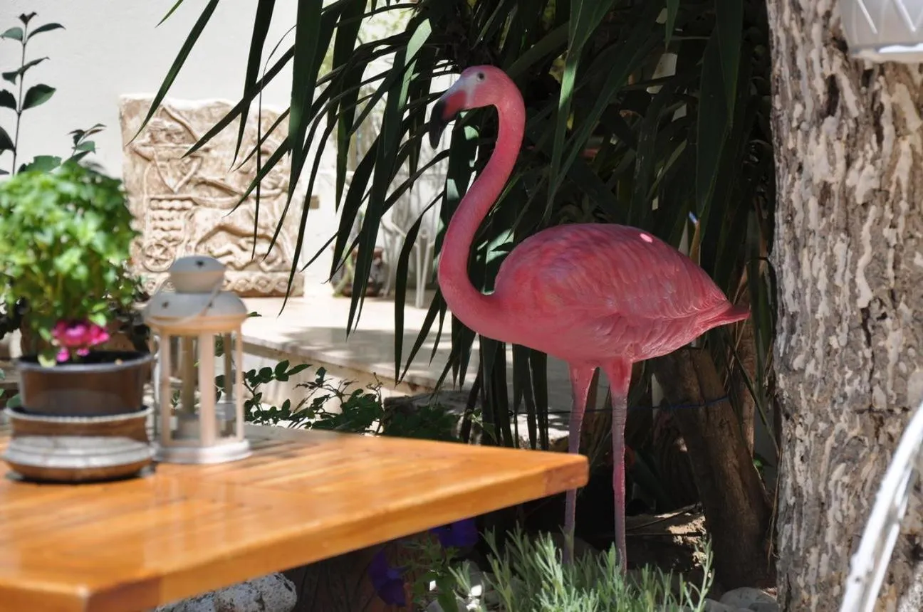 Breakfast in Sibel Hotel