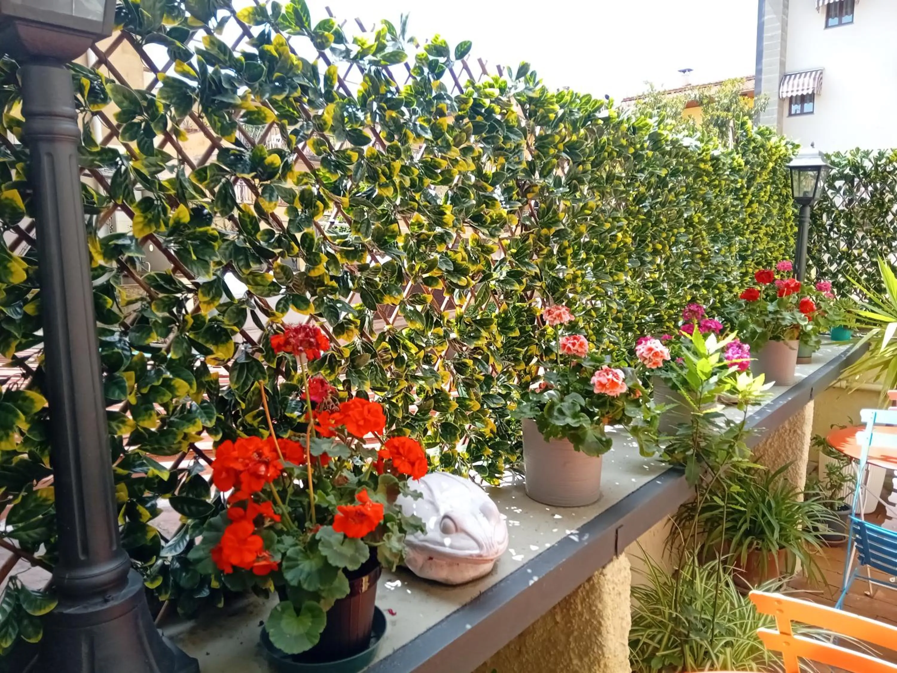 Balcony/Terrace in Hotel Tourist House