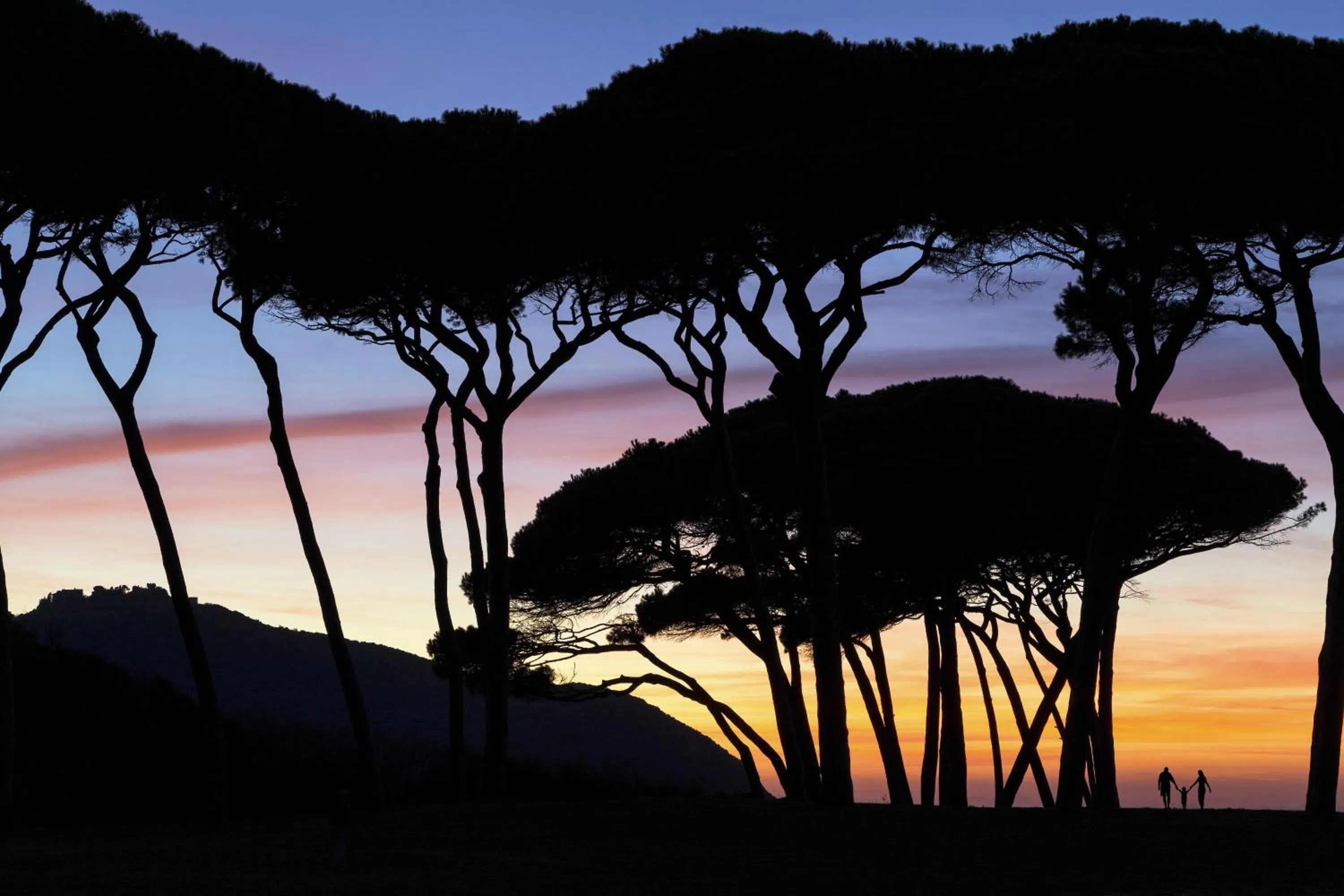 Natural landscape in The Sense Experience Resort - Preferred Hotels & Resorts