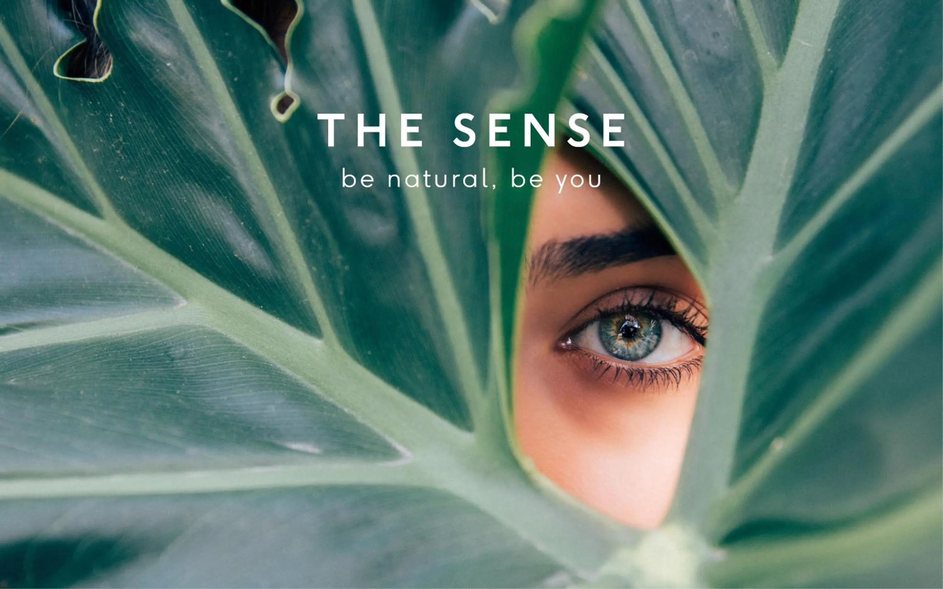 Logo/Certificate/Sign in The Sense Experience Resort - Preferred Hotels & Resorts