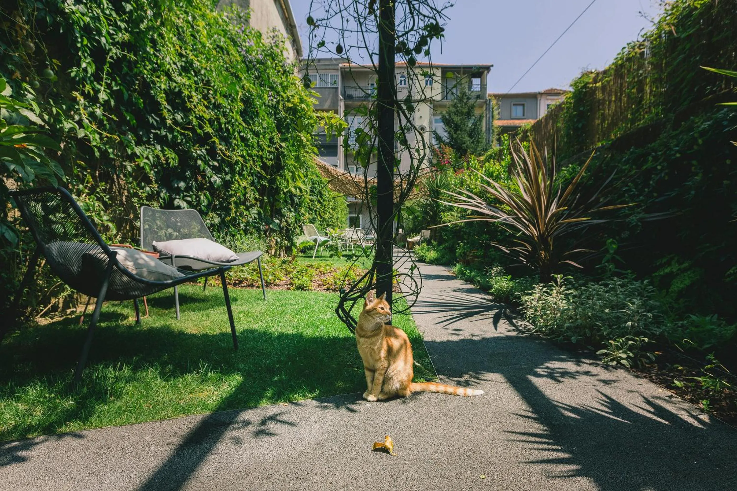 Garden in Rosa Et Al Townhouse