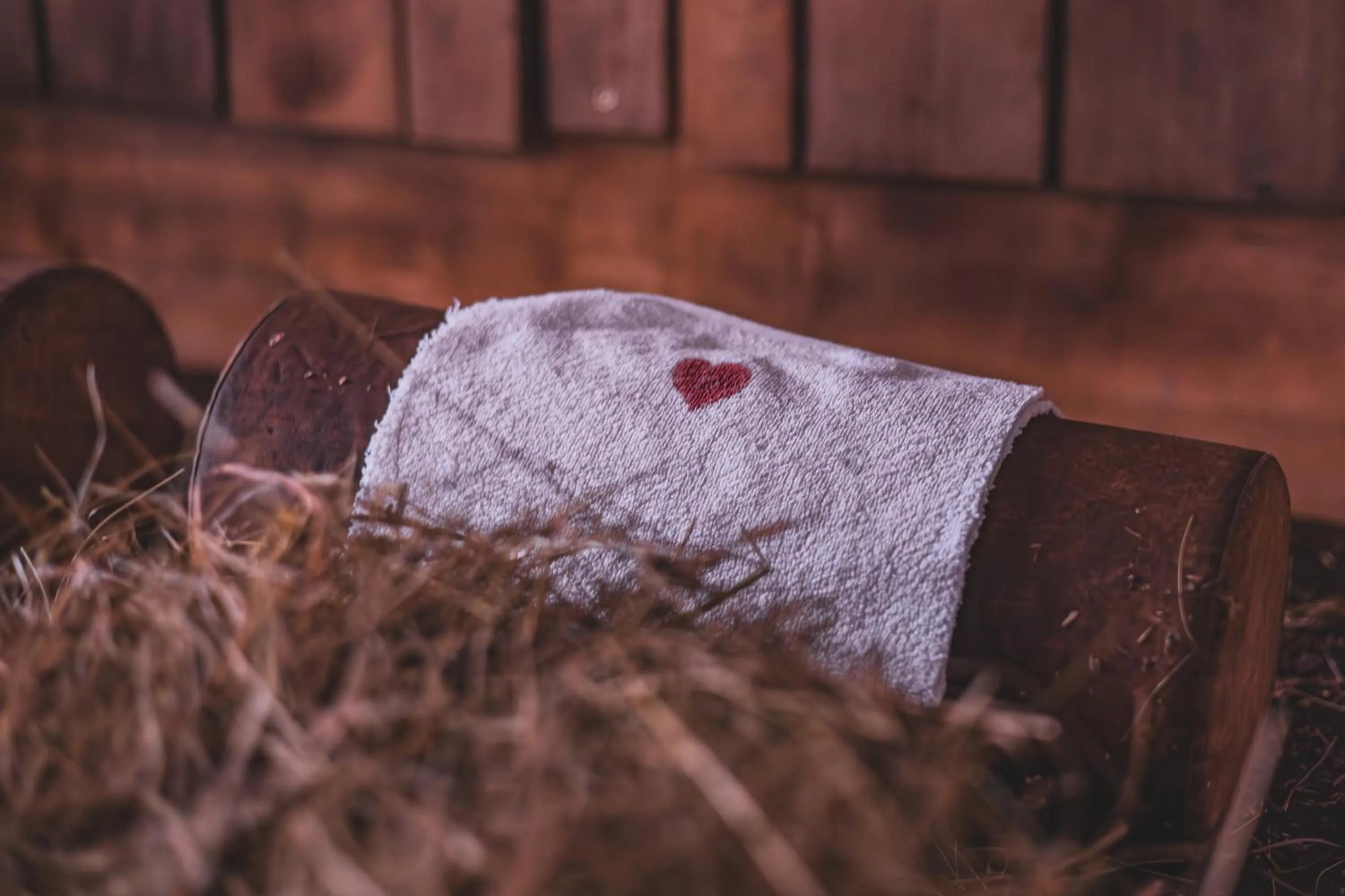 Bio Aparthotel Blaslahof