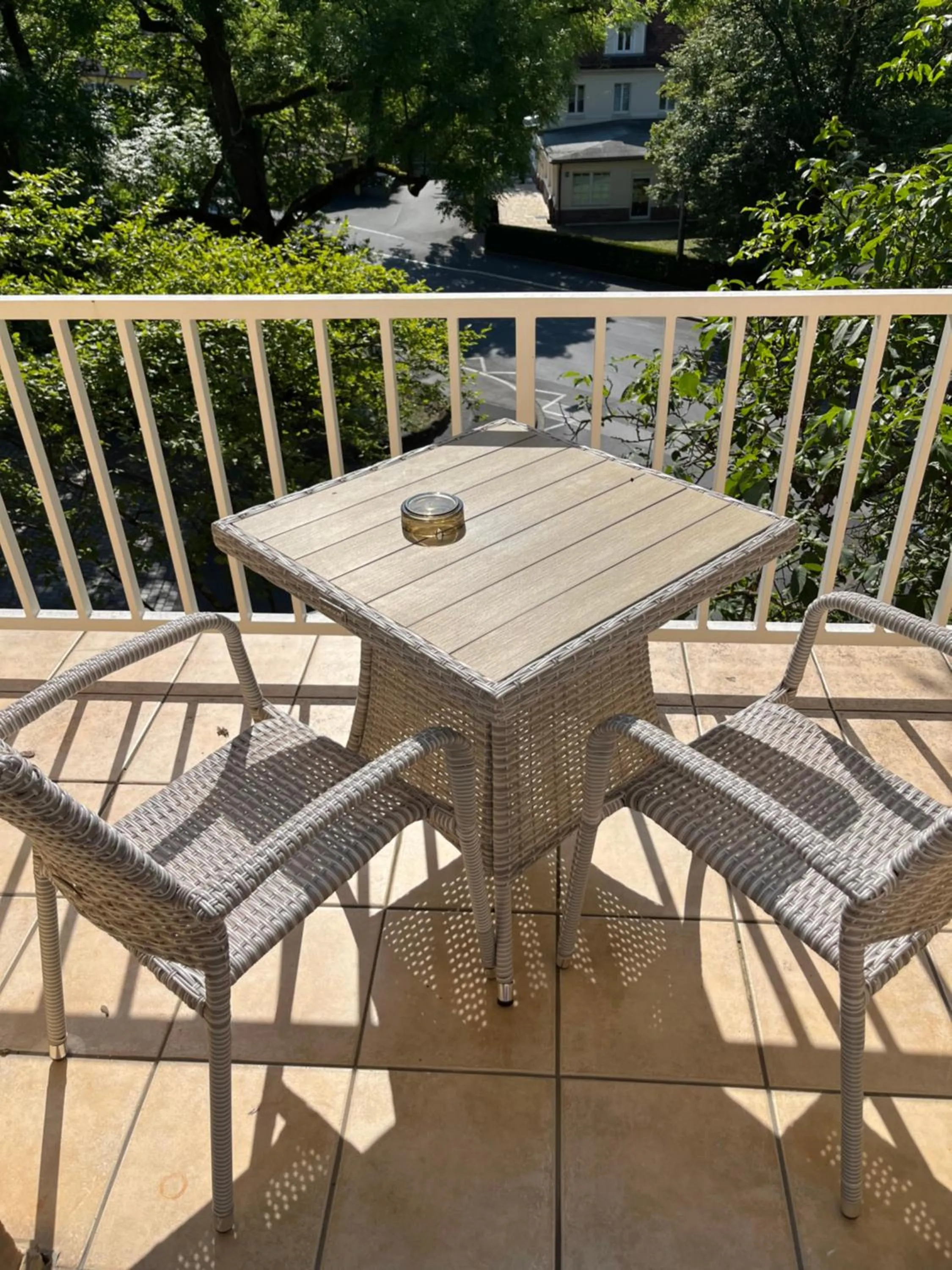 Balcony/Terrace in Hotel Villa Arnold