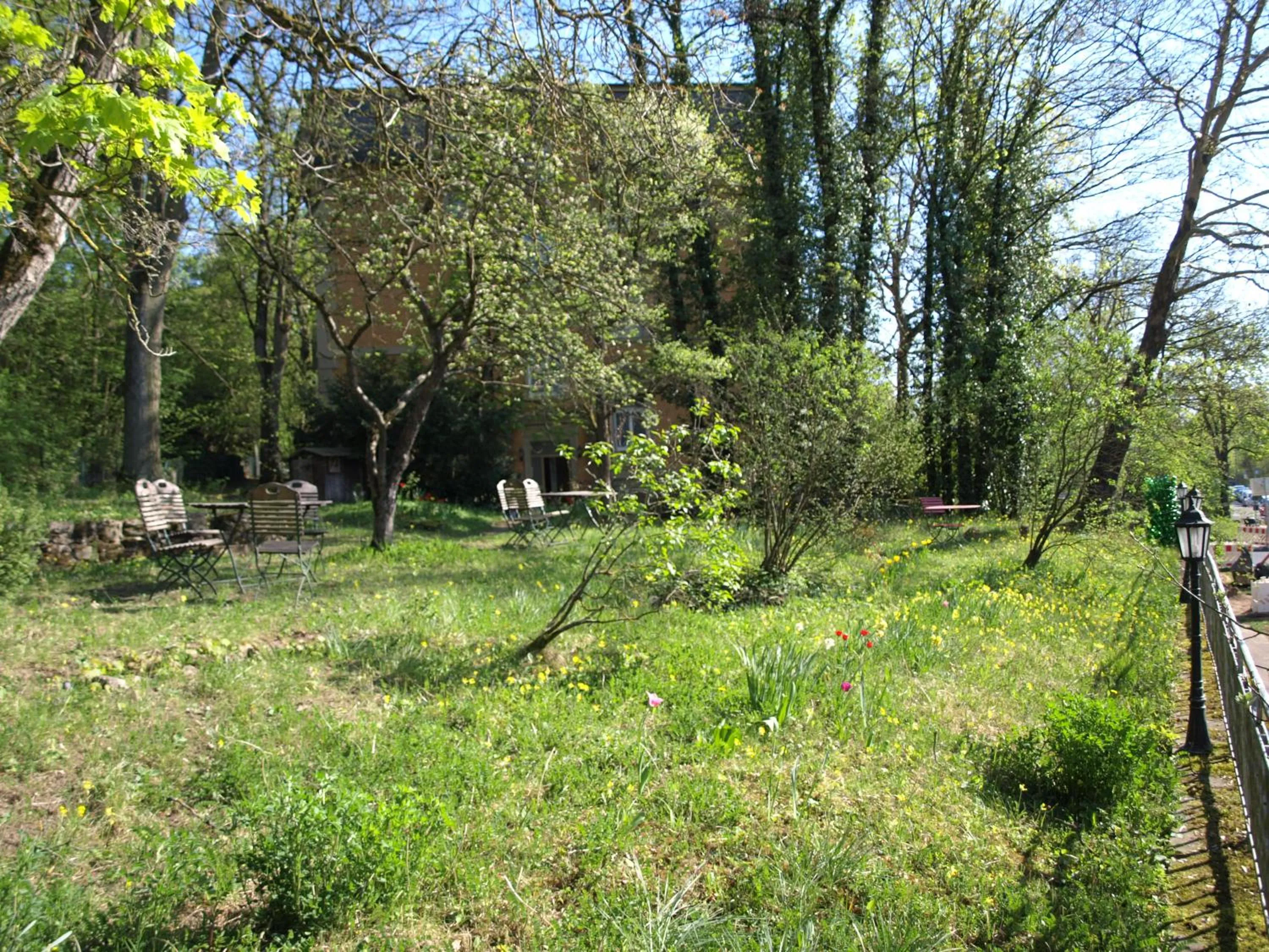 Garden in Hotel Villa Arnold