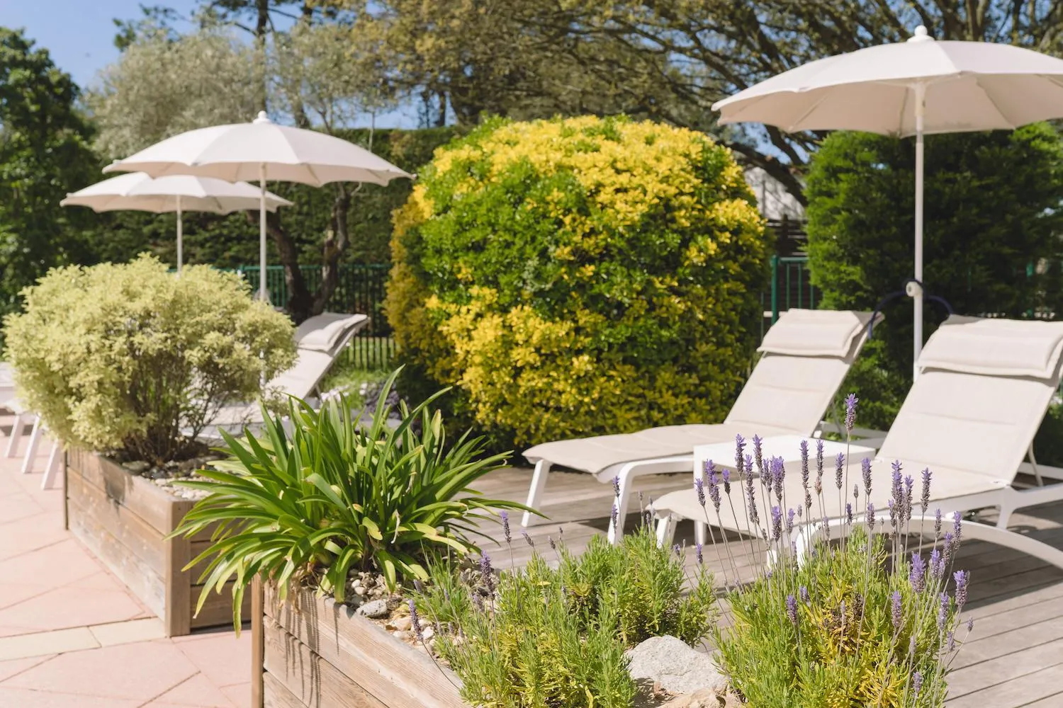 Spring in Fleur de Sel