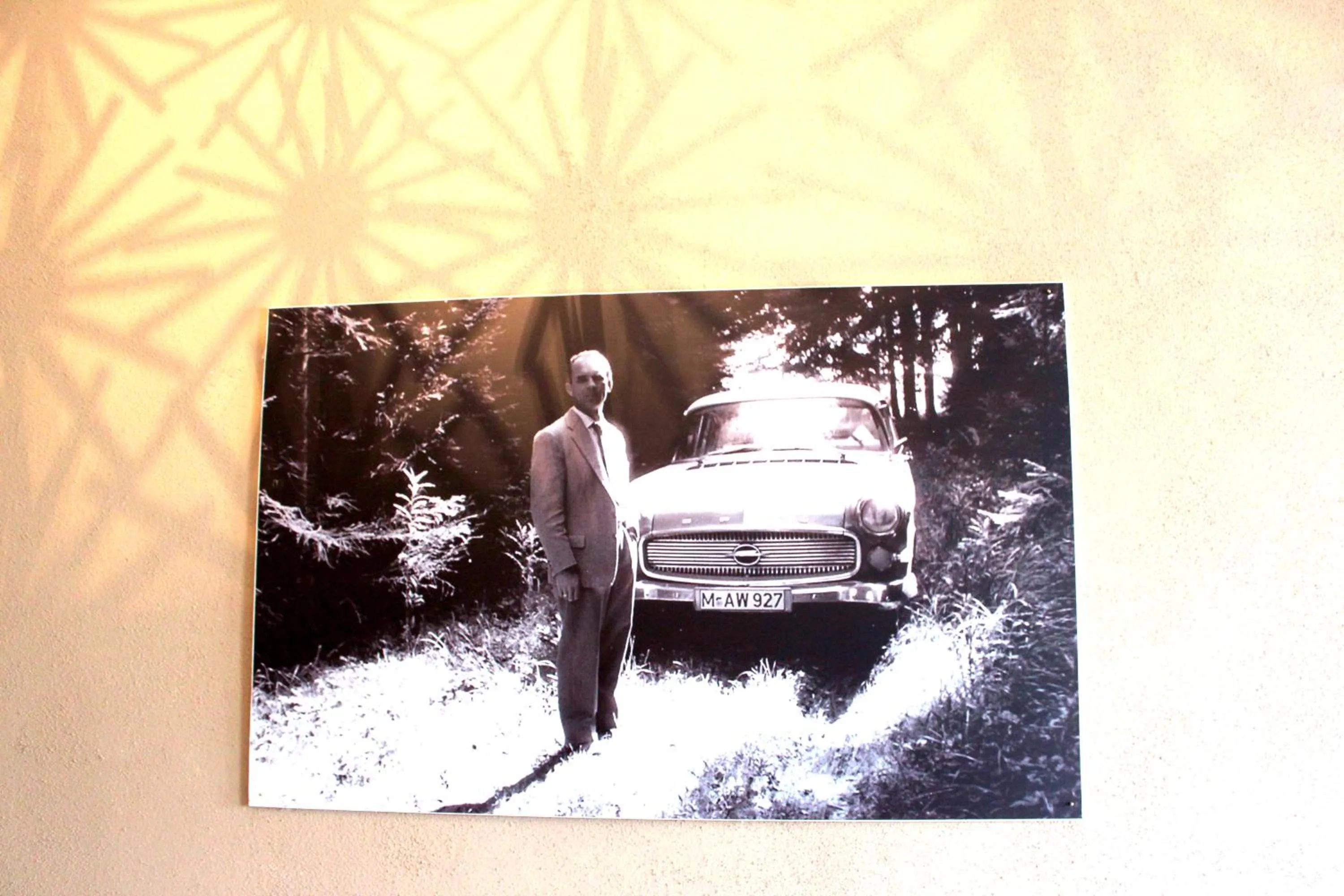 Decorative detail in greenpartment Ingolstadt - Friedrichshofen