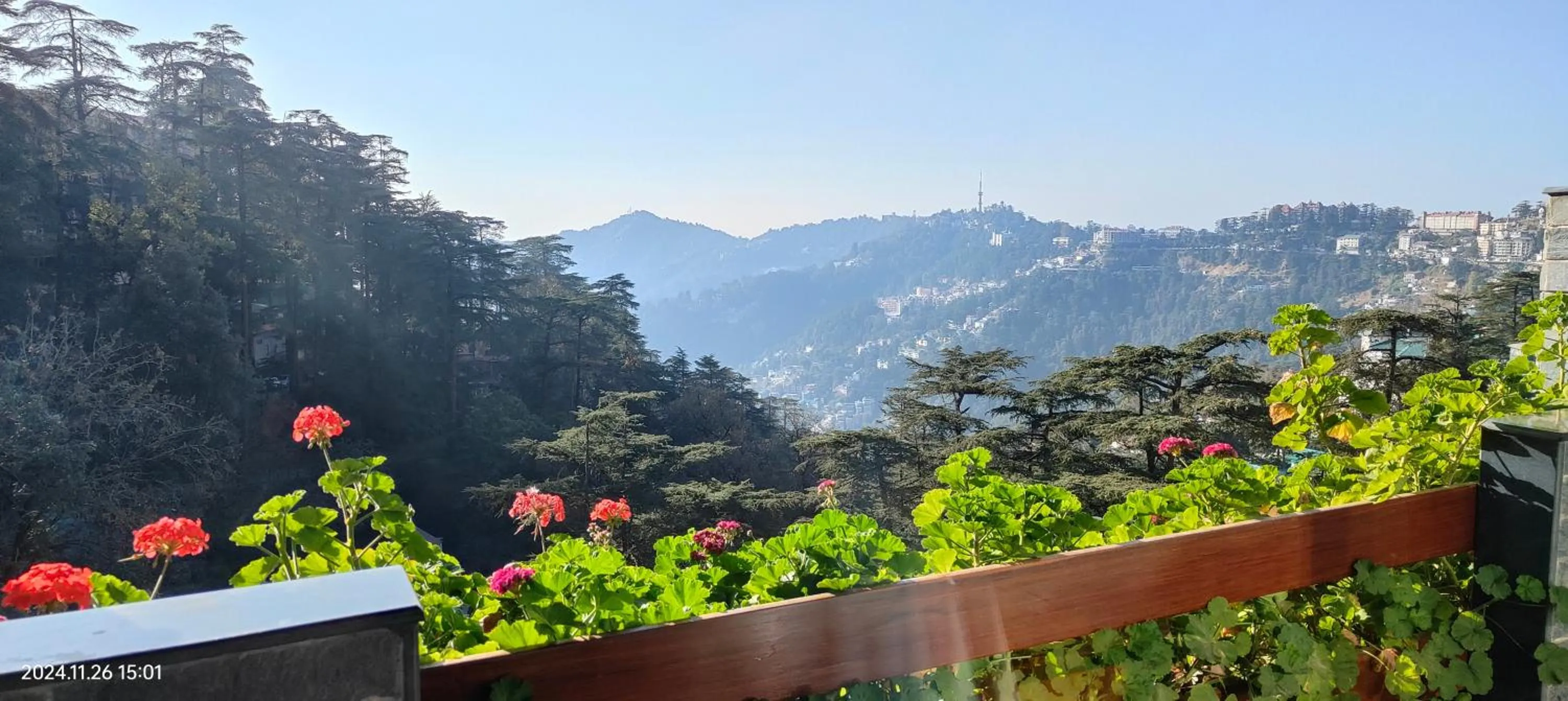 Natural landscape in Marina- Shimla First Designer Boutique Hotel