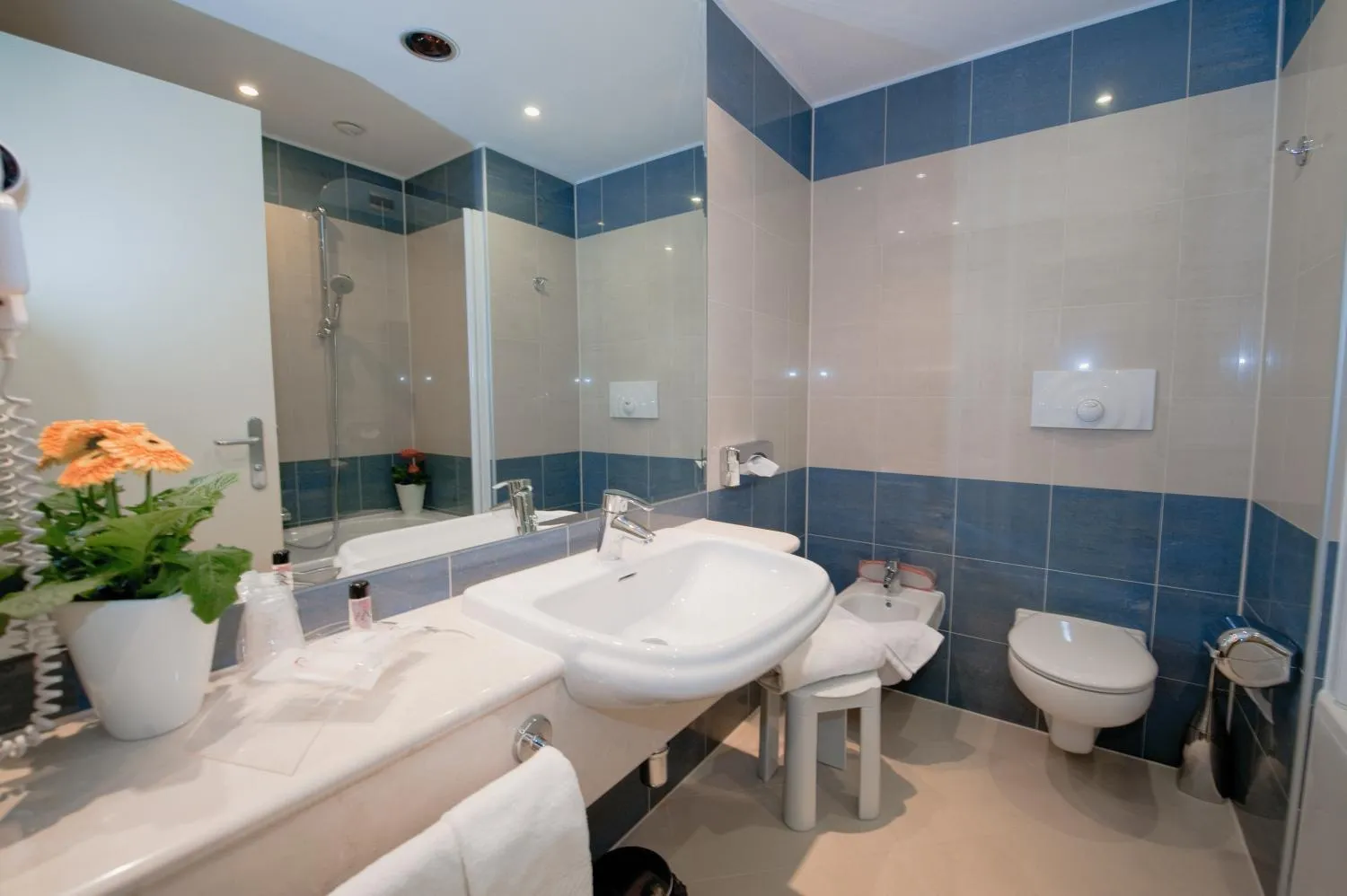 Bathroom in Hotel Rivarolo