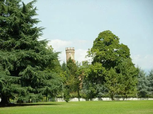 Area and facilities in Hotel Rivarolo