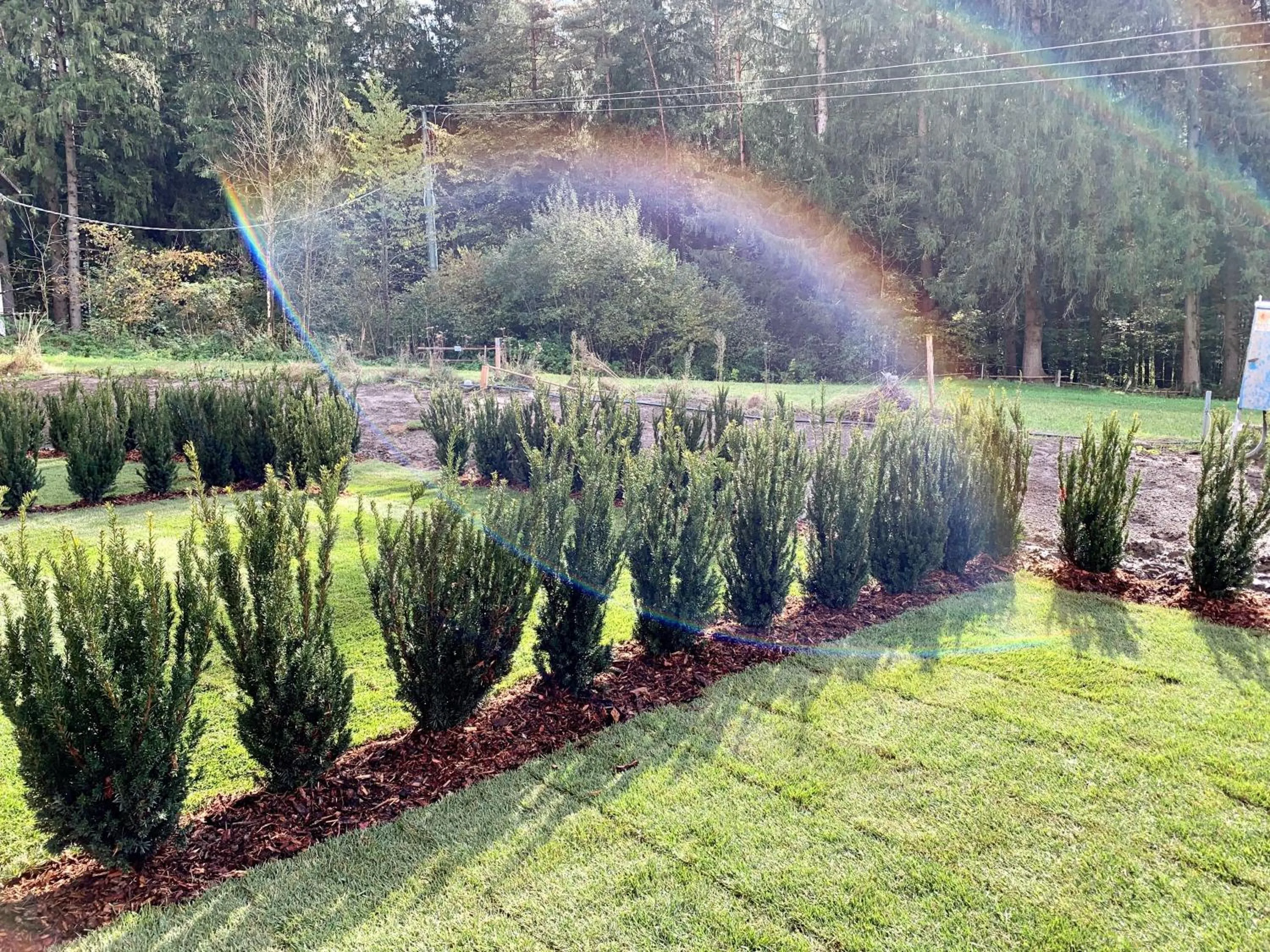 Bonfanti Design Hotel