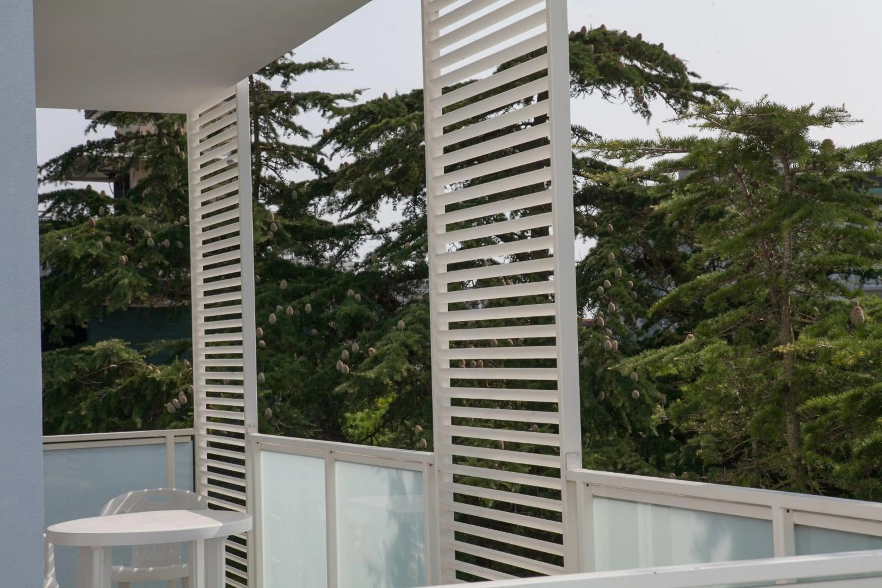 Balcony/Terrace in Hotel Albatros 3 Stelle Superior