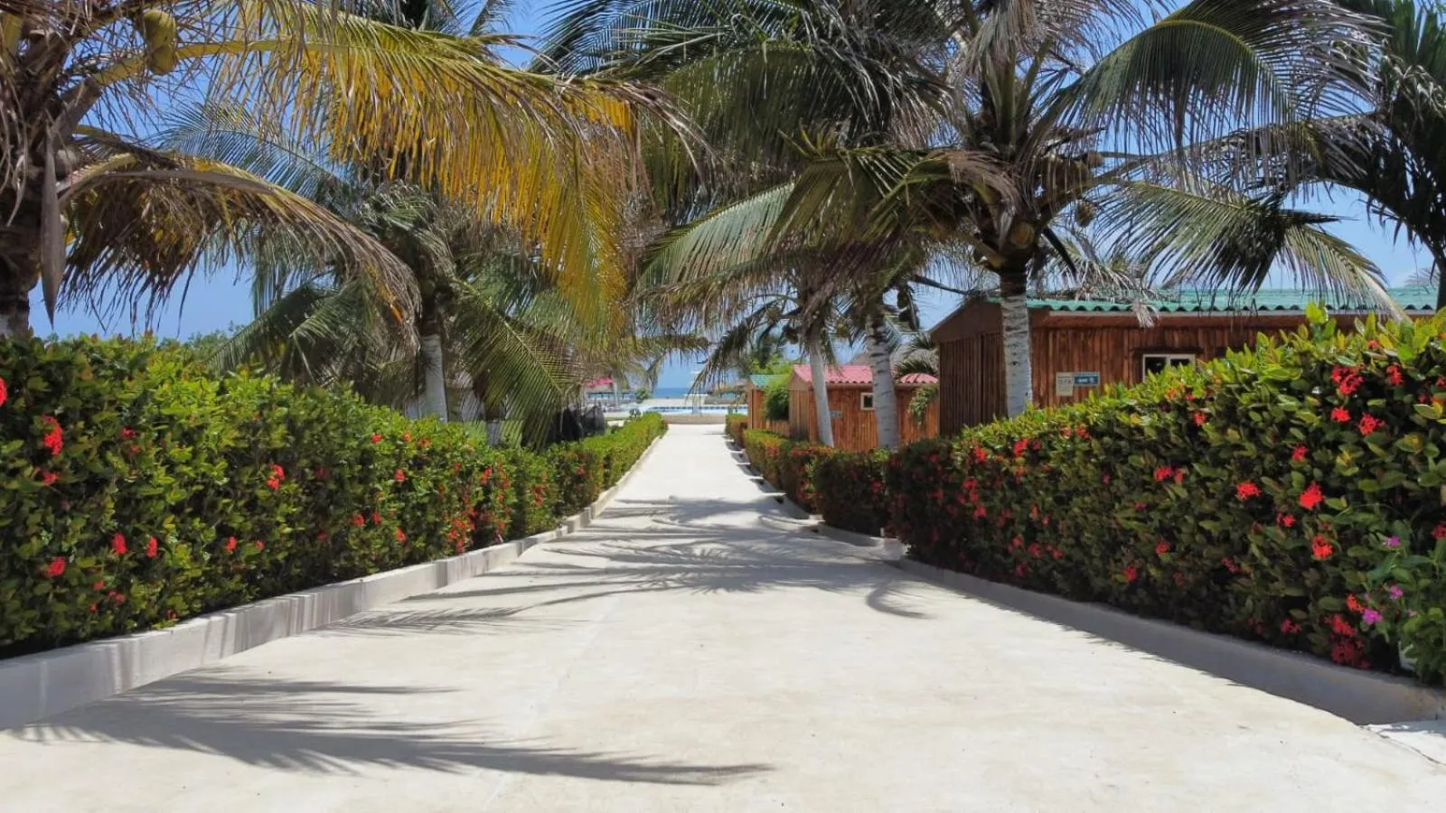 Natural landscape in Hotel Arena Beach Cartagena