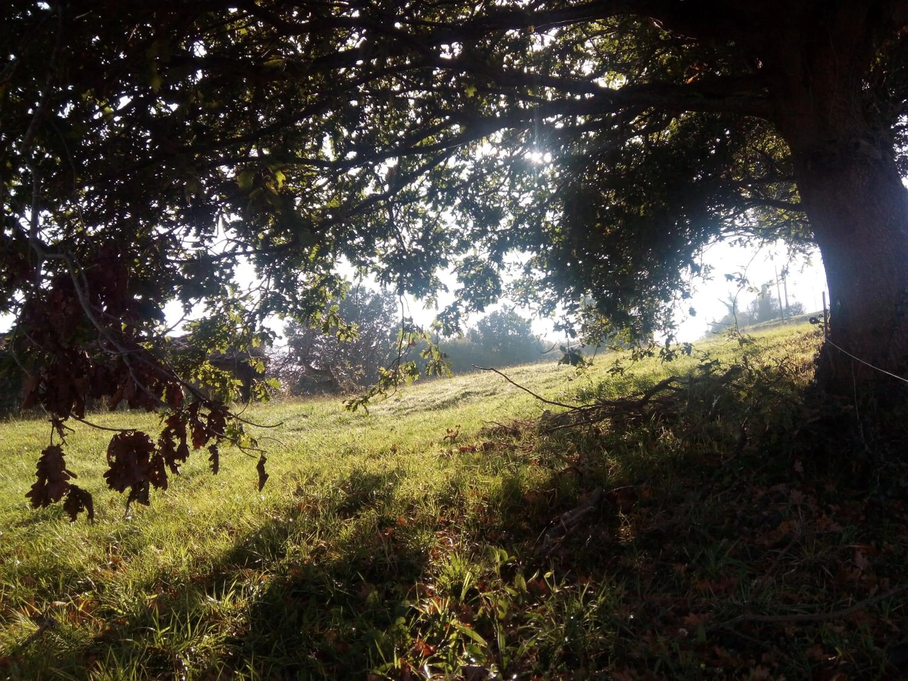 Natural landscape in Posada La Cotía