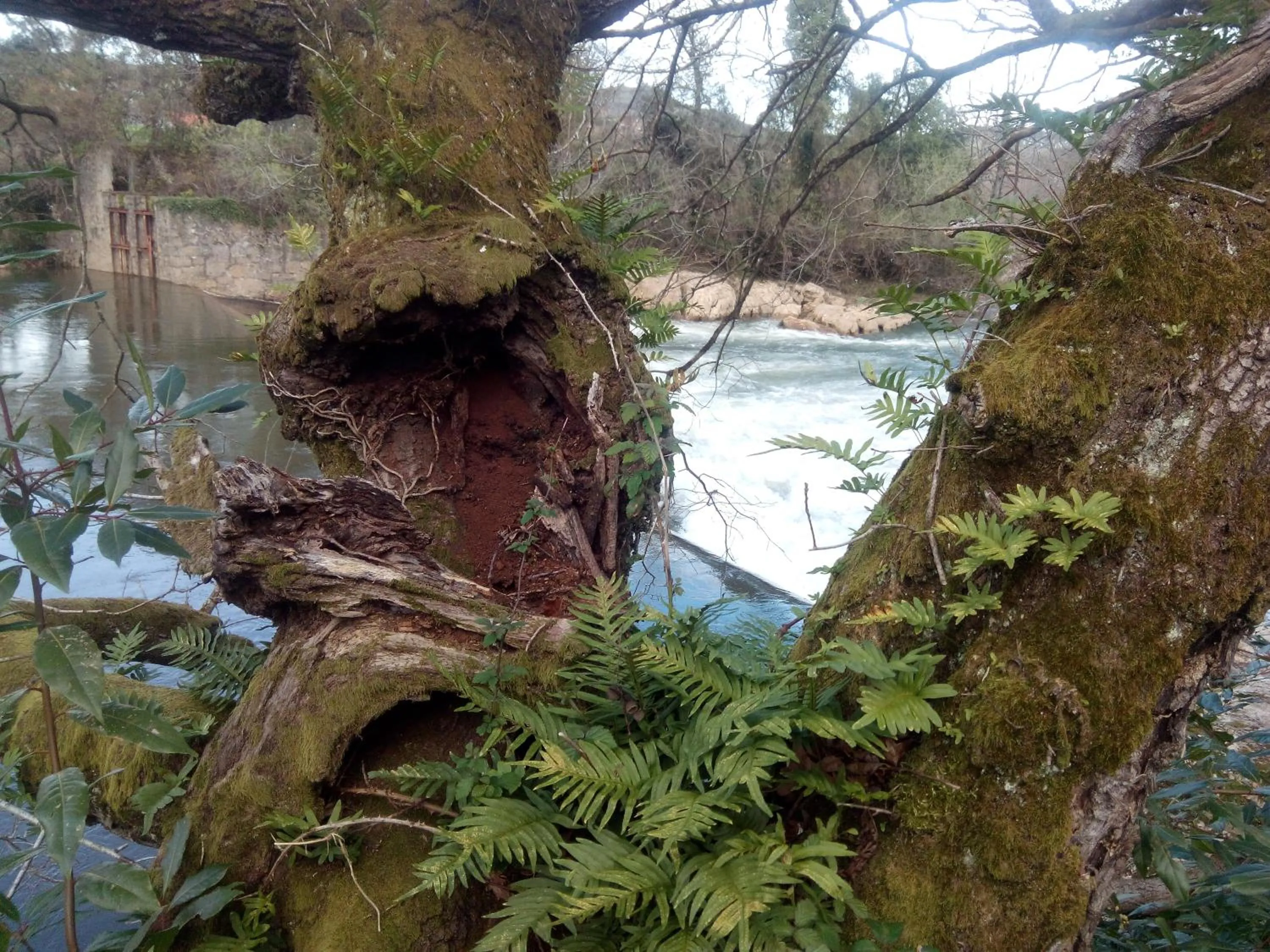 Activities in Posada La Cotía