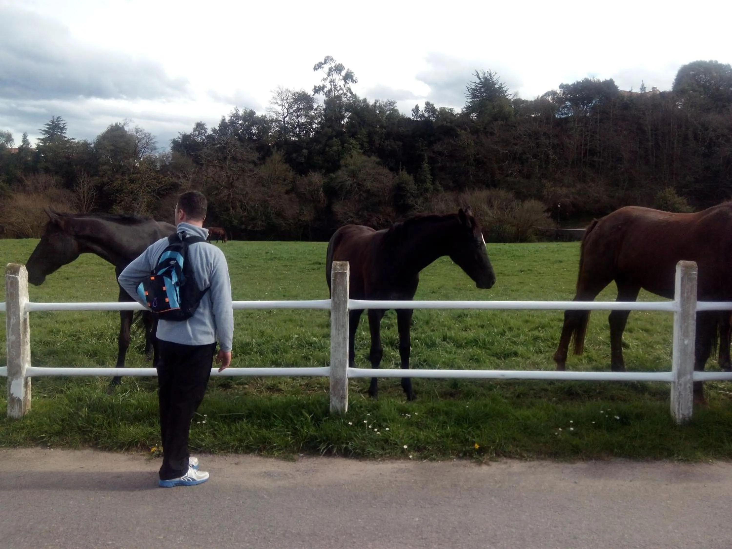 Activities in Posada La Cotía