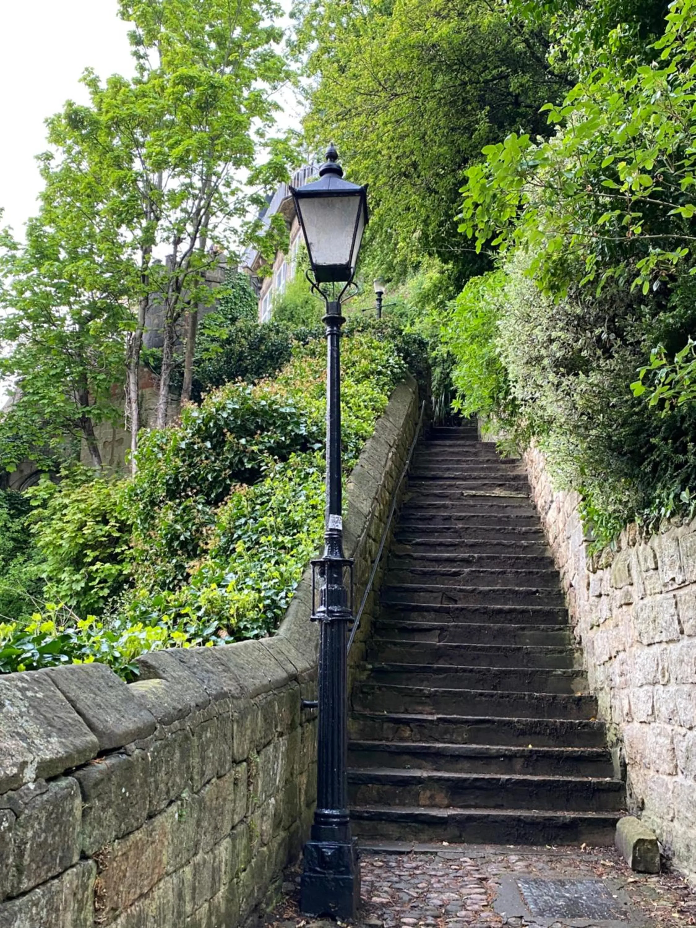 Garden in Orchard Club