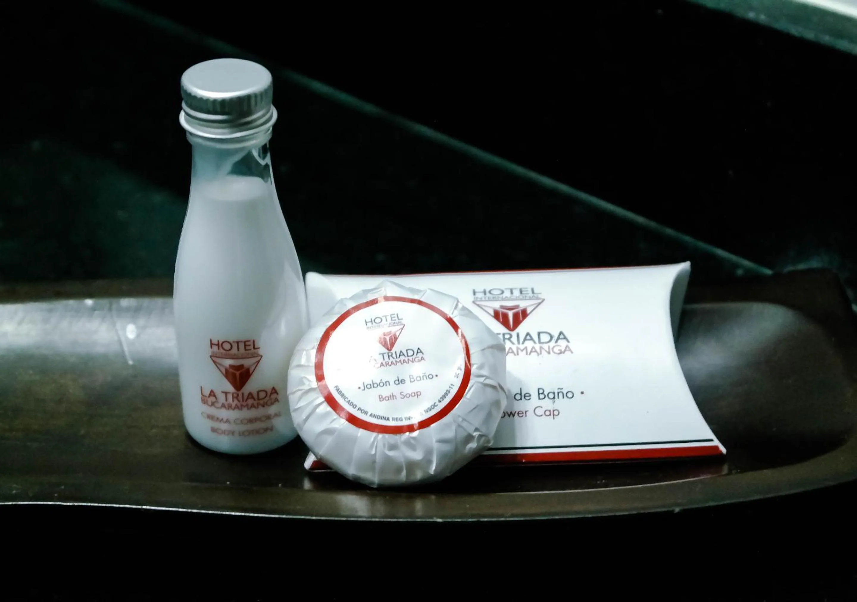 Facility for disabled guests in Hotel Internacional La Triada