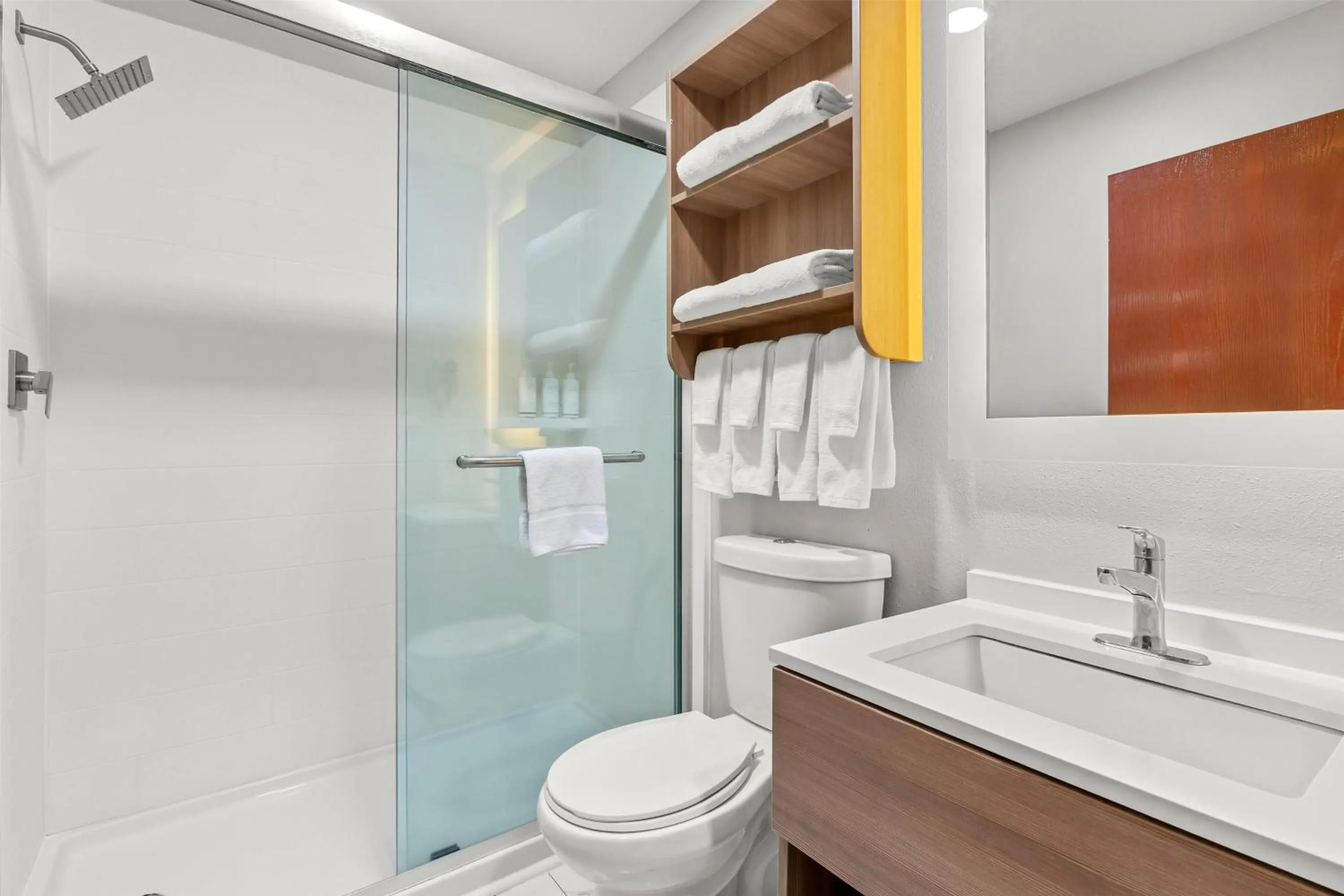 Bathroom in Microtel Inn and Suites - Salisbury