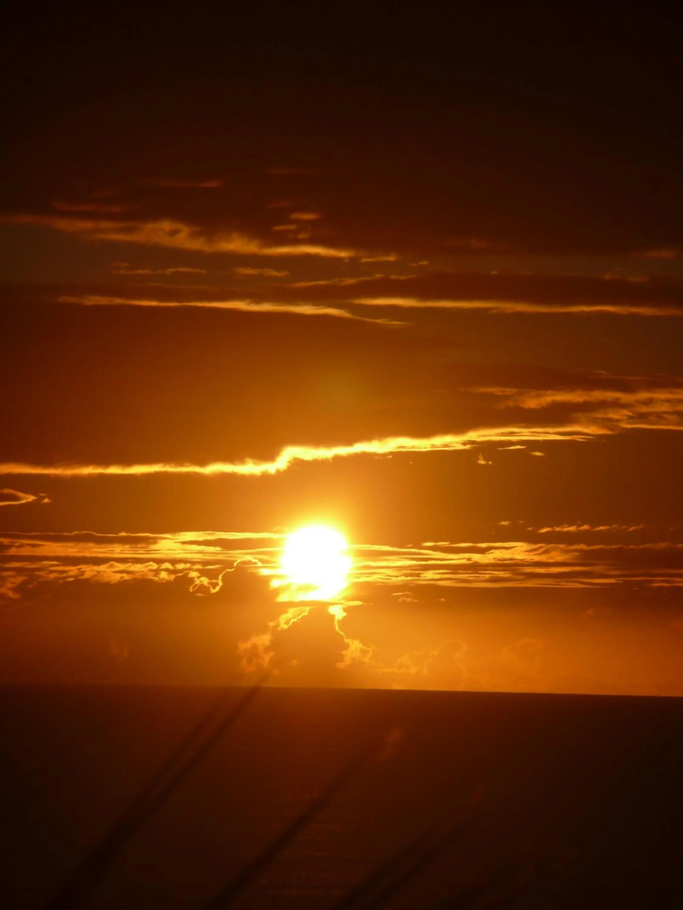 Bethells Beach Cottages