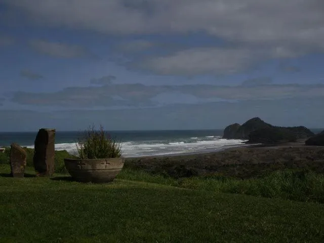 Natural landscape in Bethells Beach Cottages
