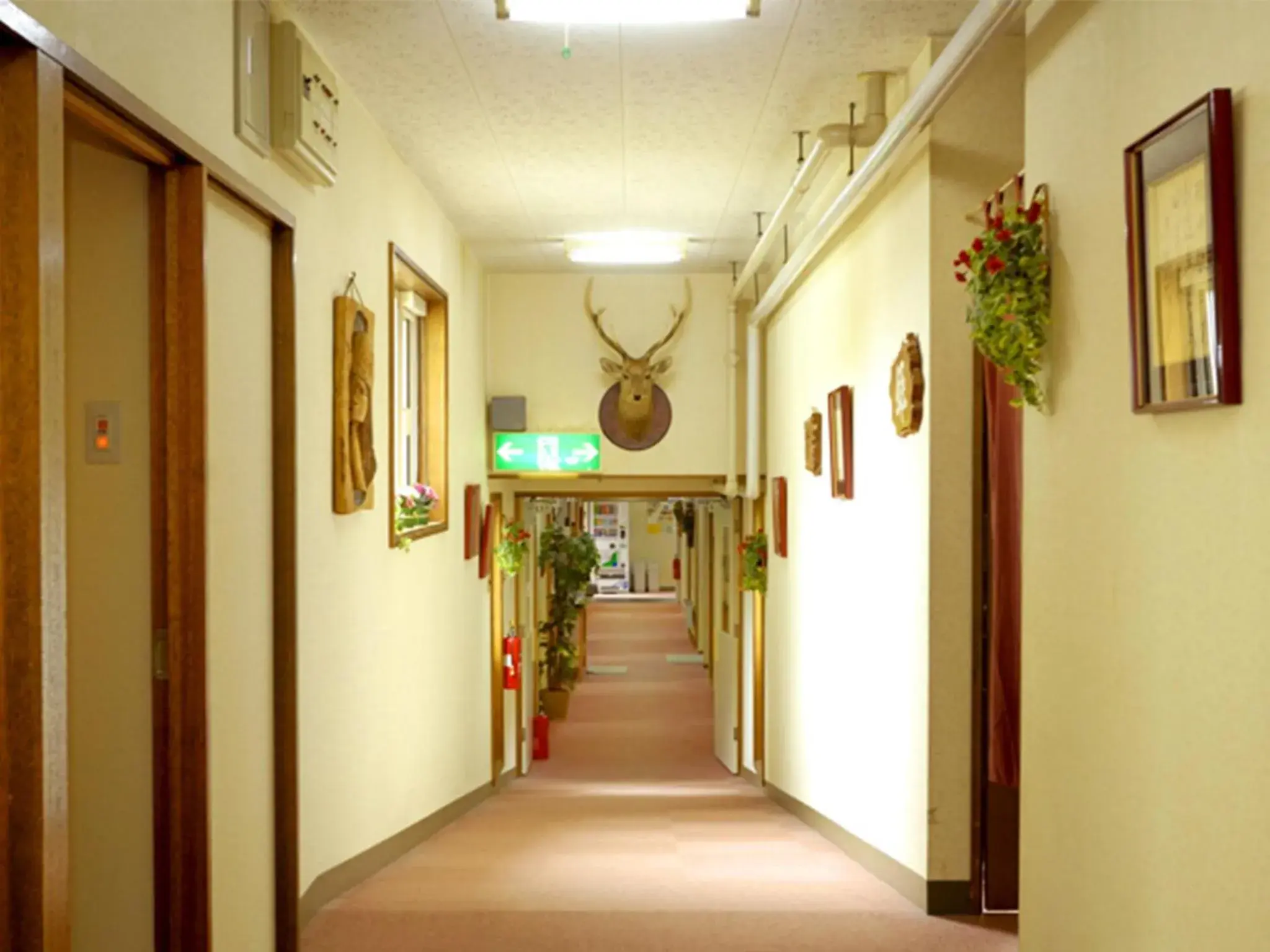 Japanese-Style Triple Room-Onsen BLD with Shared Bathroom - single occupancy - Non-Smoking in Shiretoko Village Japanese-Style Triple Room-Onsen BLD with Shared Bathroom - single occupancy - Non-Smoking in Shiretoko Village