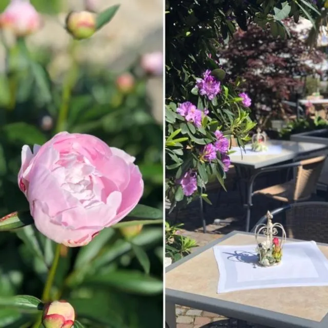 Garden view in Hotel Gasthaus Appel Krug