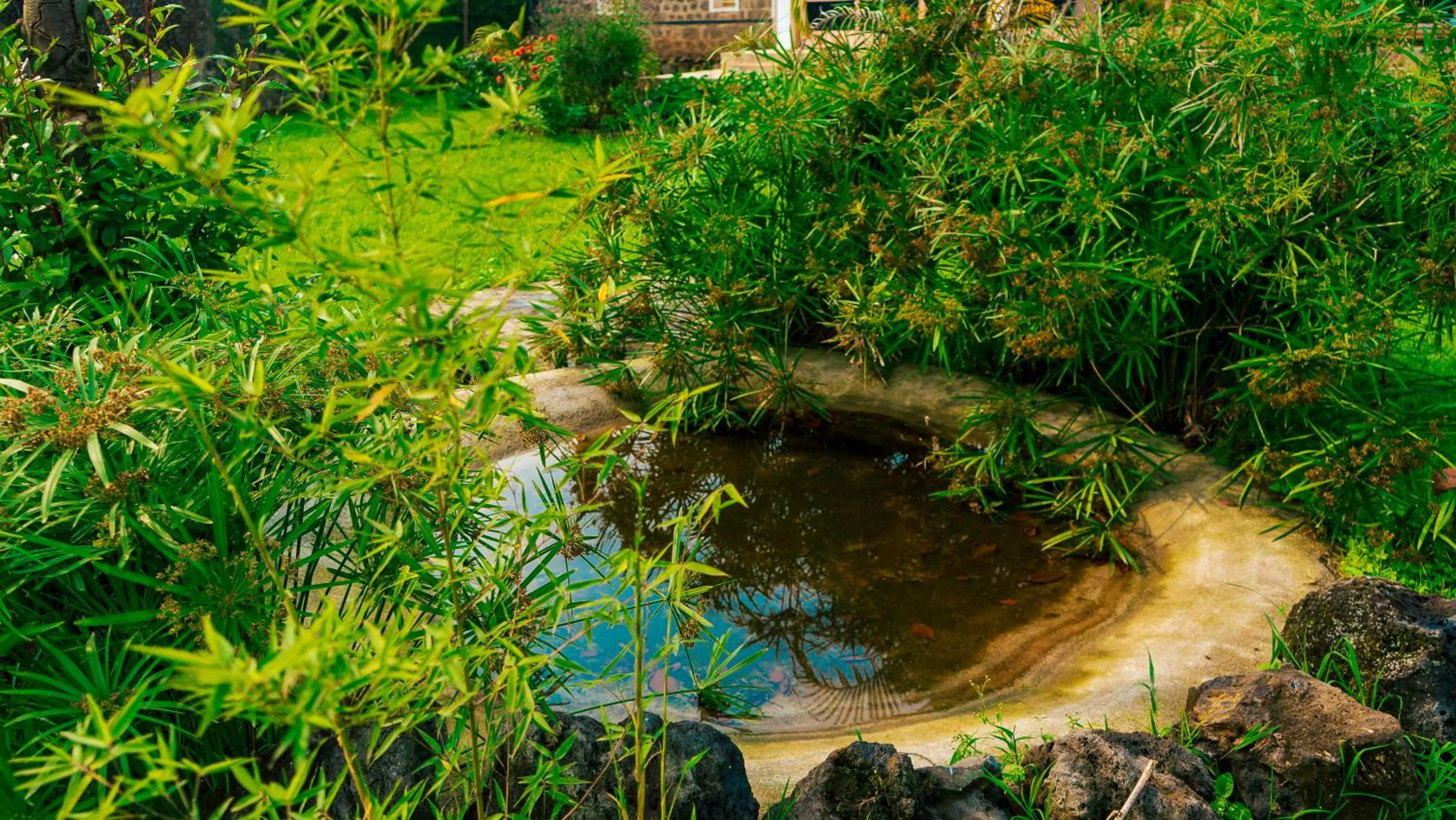 Day in Isange Paradise Resort