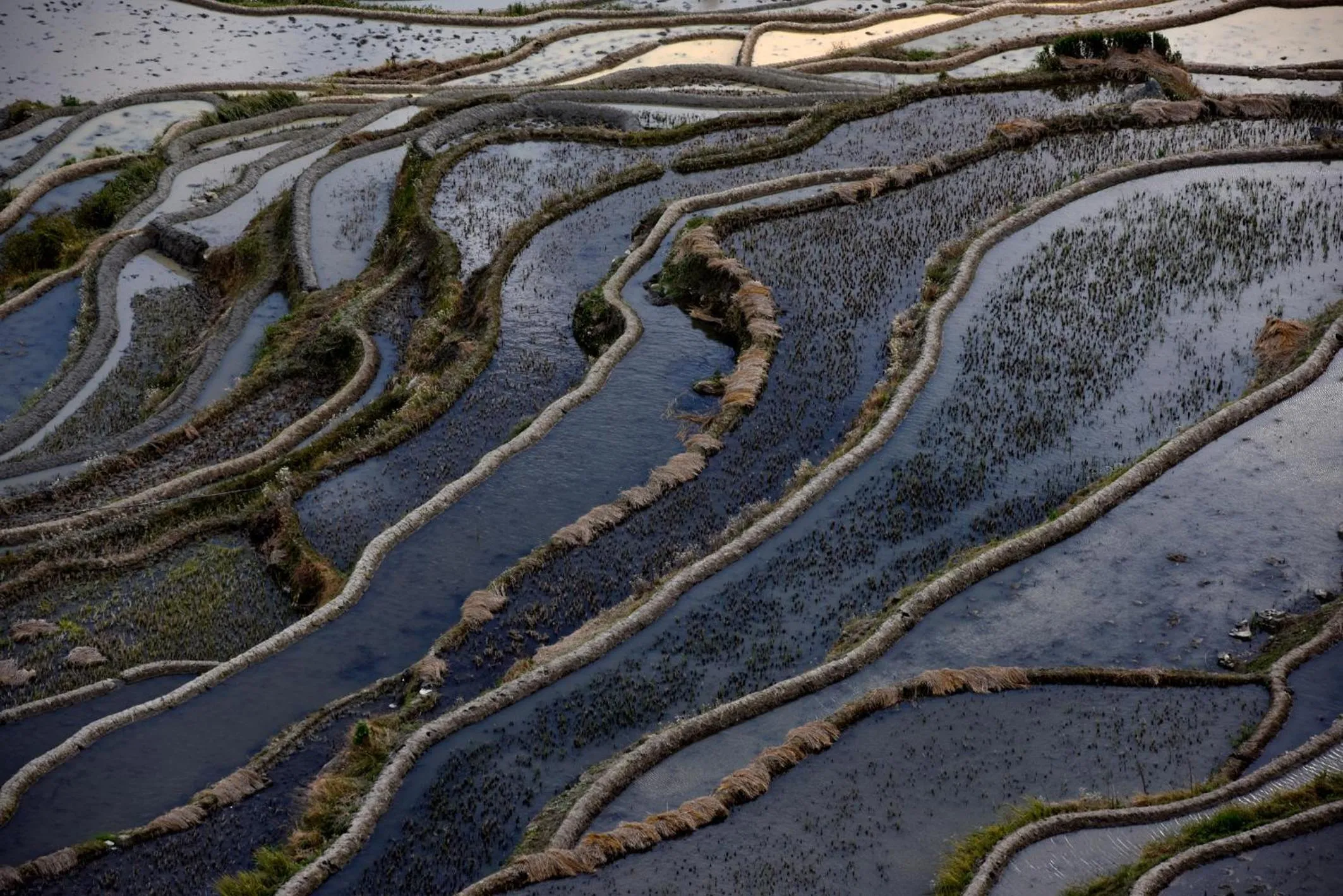 Landmark view in Beyond The Cloud
