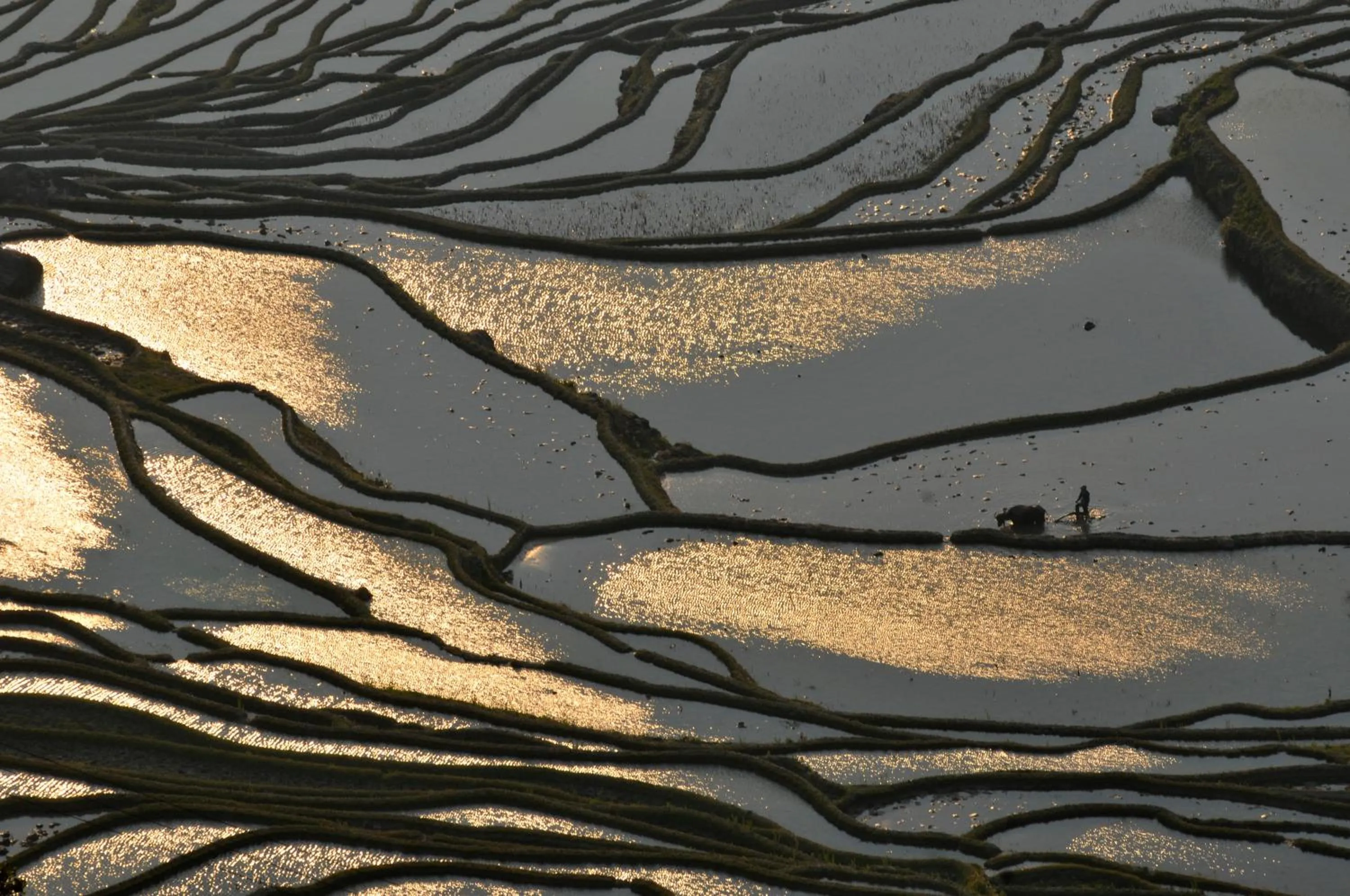 Natural landscape in Beyond The Cloud
