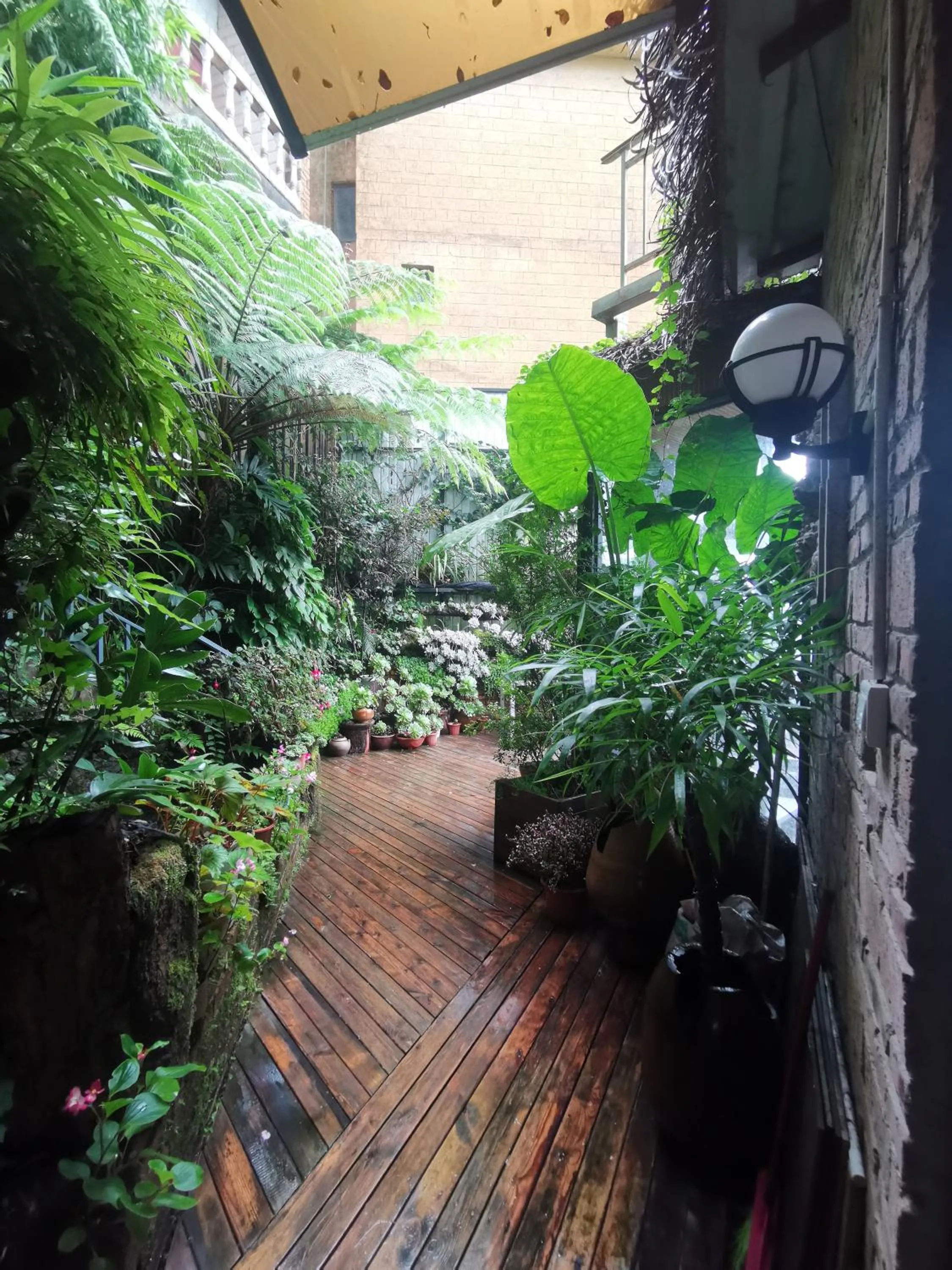 Inner courtyard view in Beyond The Cloud