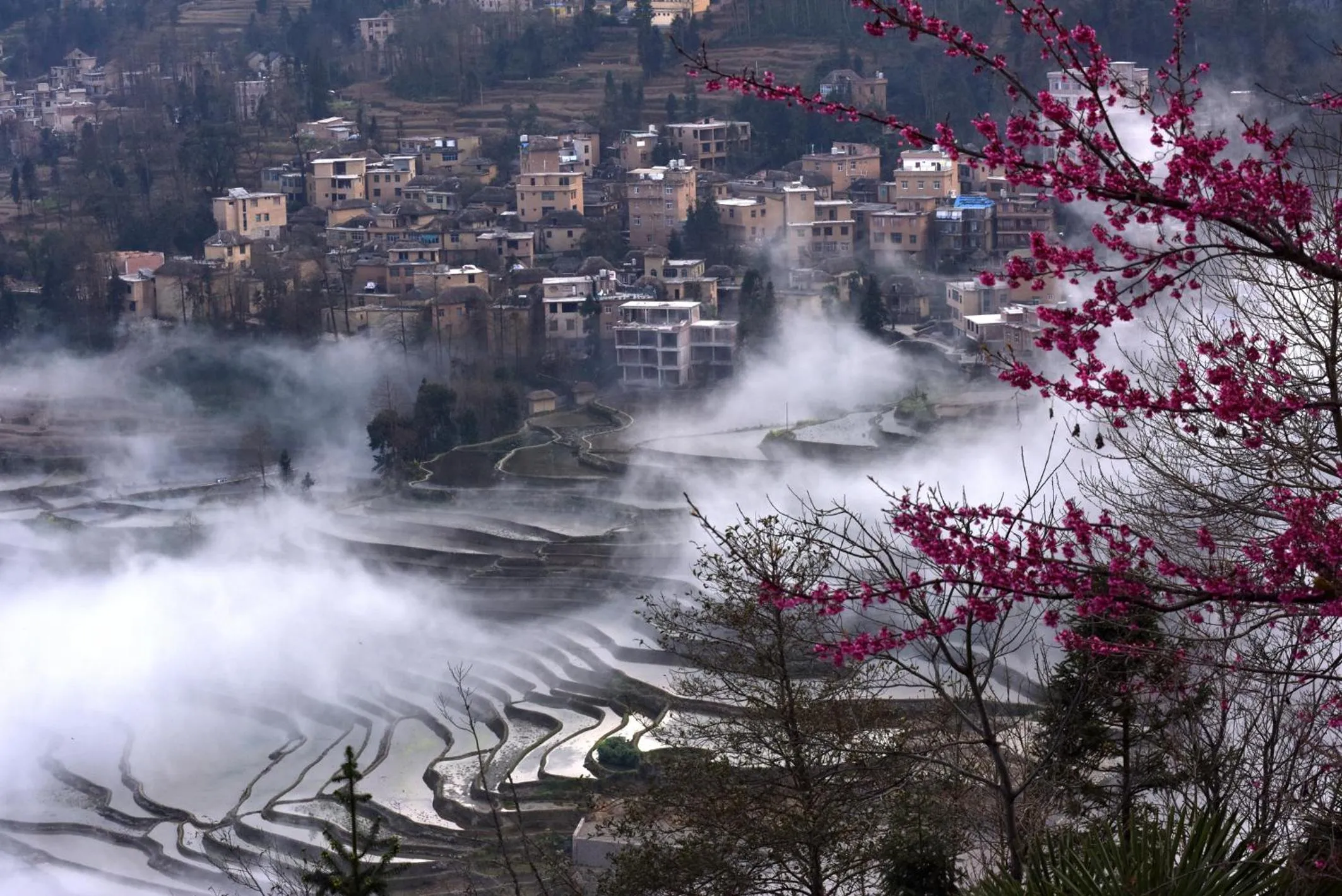 Natural landscape in Beyond The Cloud